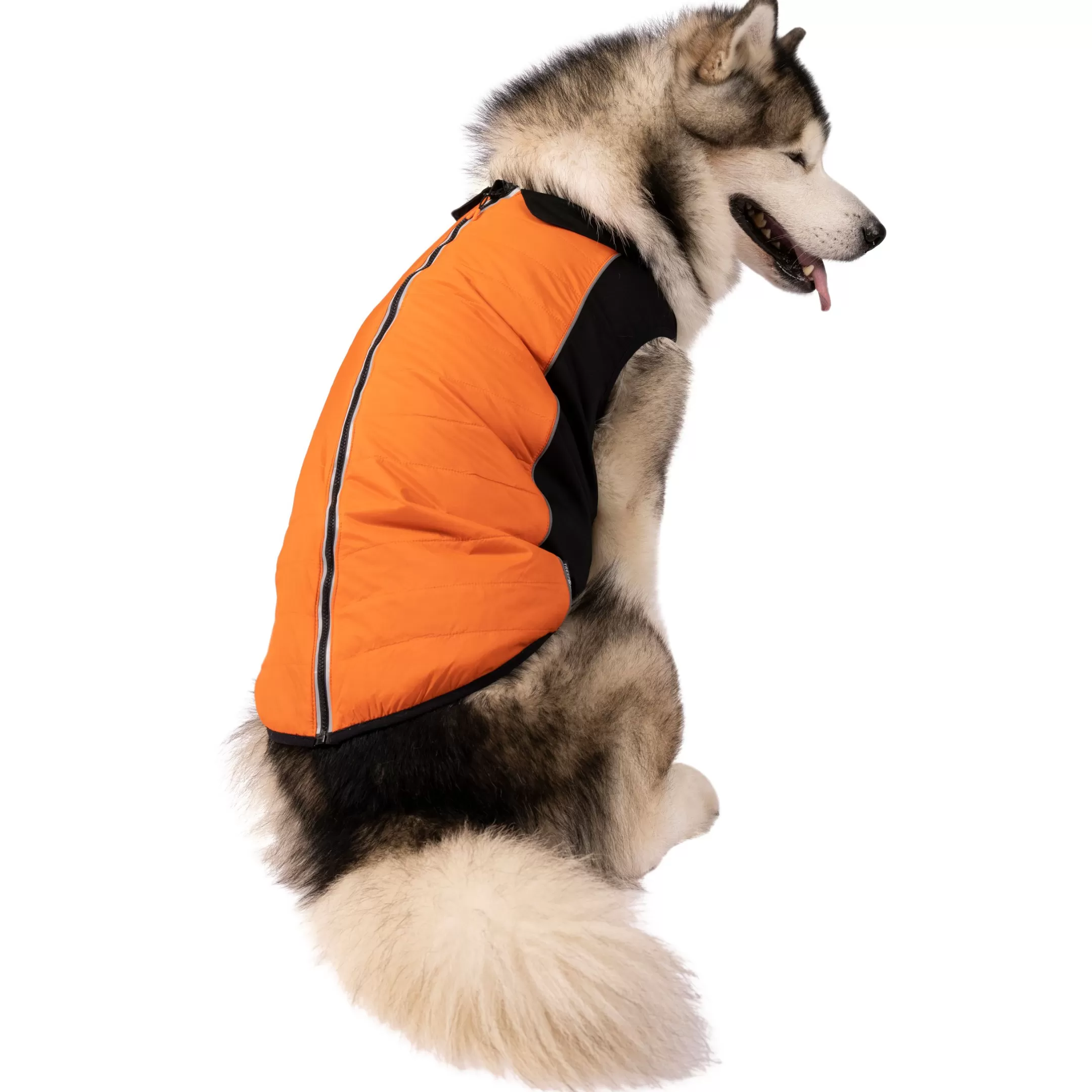Trepaws Extra Large Dog Jacket Beedle - Black & Burnt Orange | Trespass Store