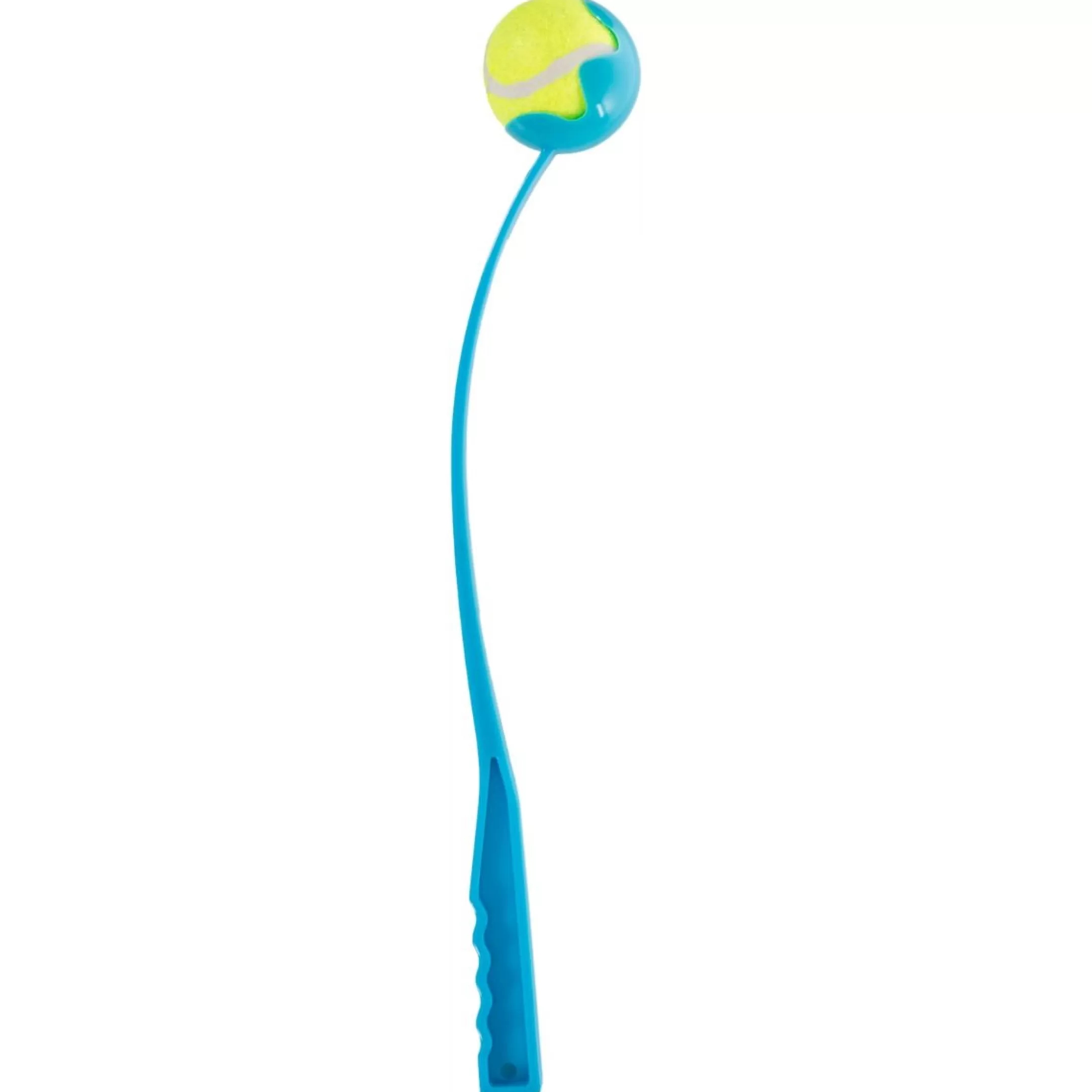 Throwing Stick and Ball | Trespass Fashion