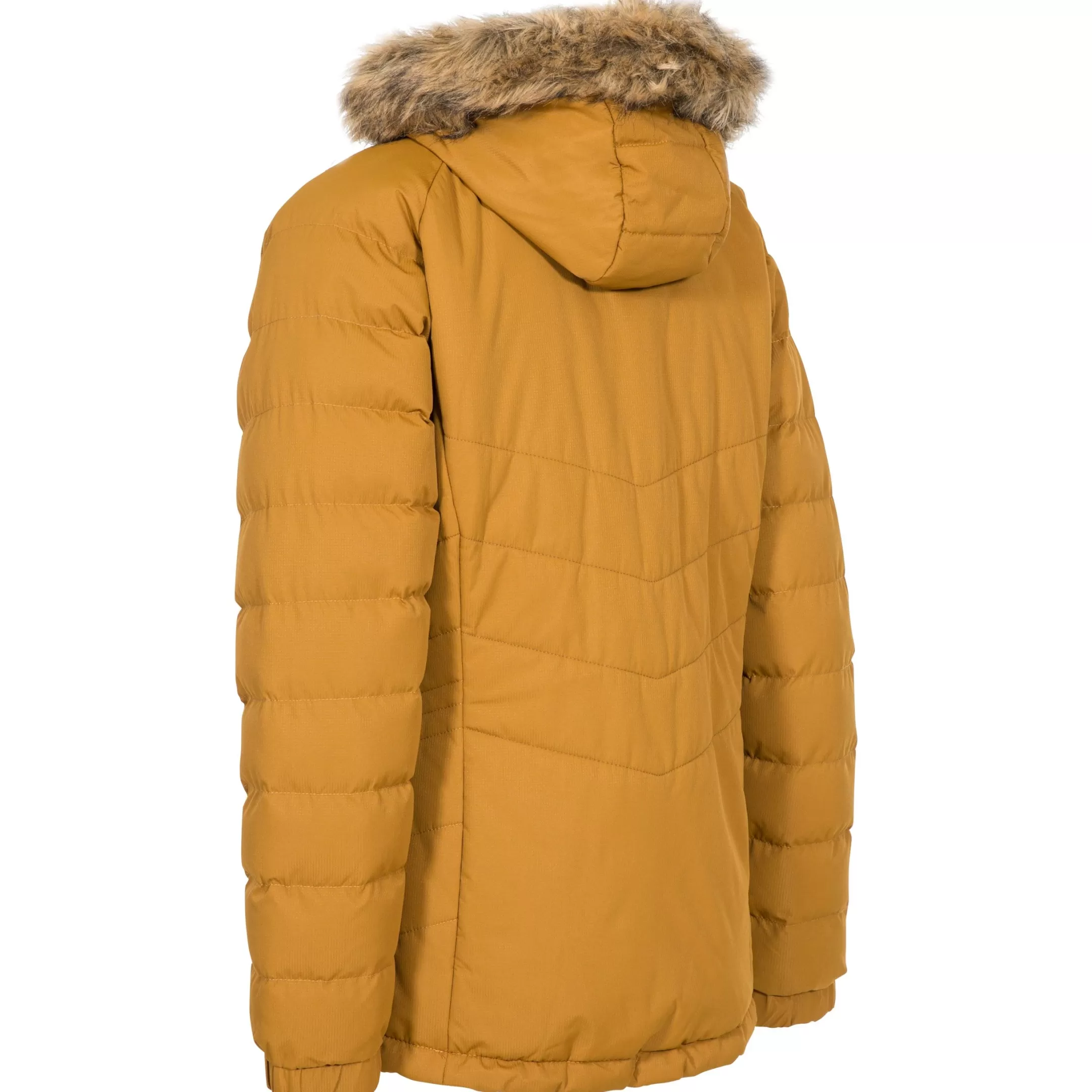 Womens Padded Hooded Casual Jacket Nadina | Trespass Outlet