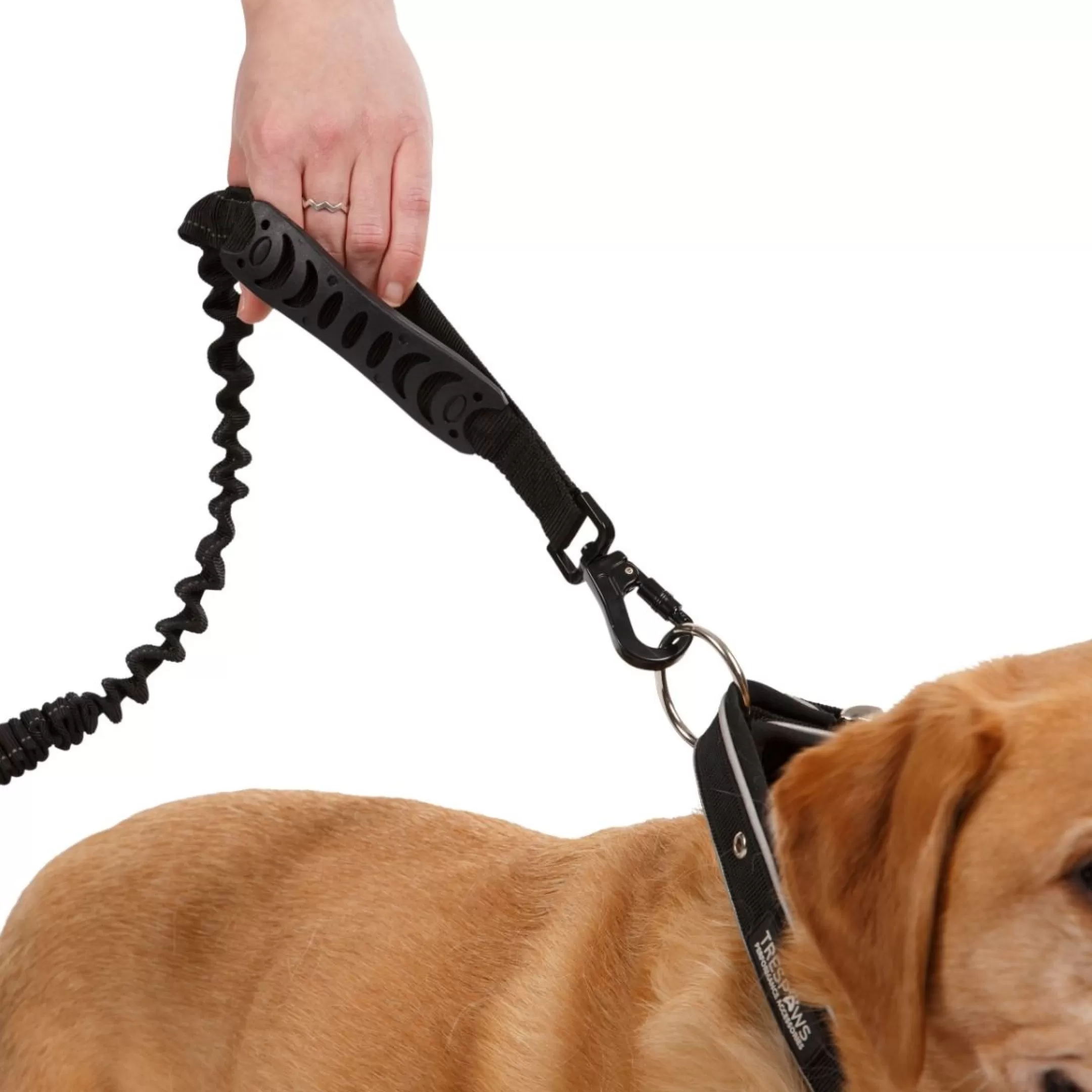 Trespaws Dog Bungee Lead Zathena | Trespass Discount