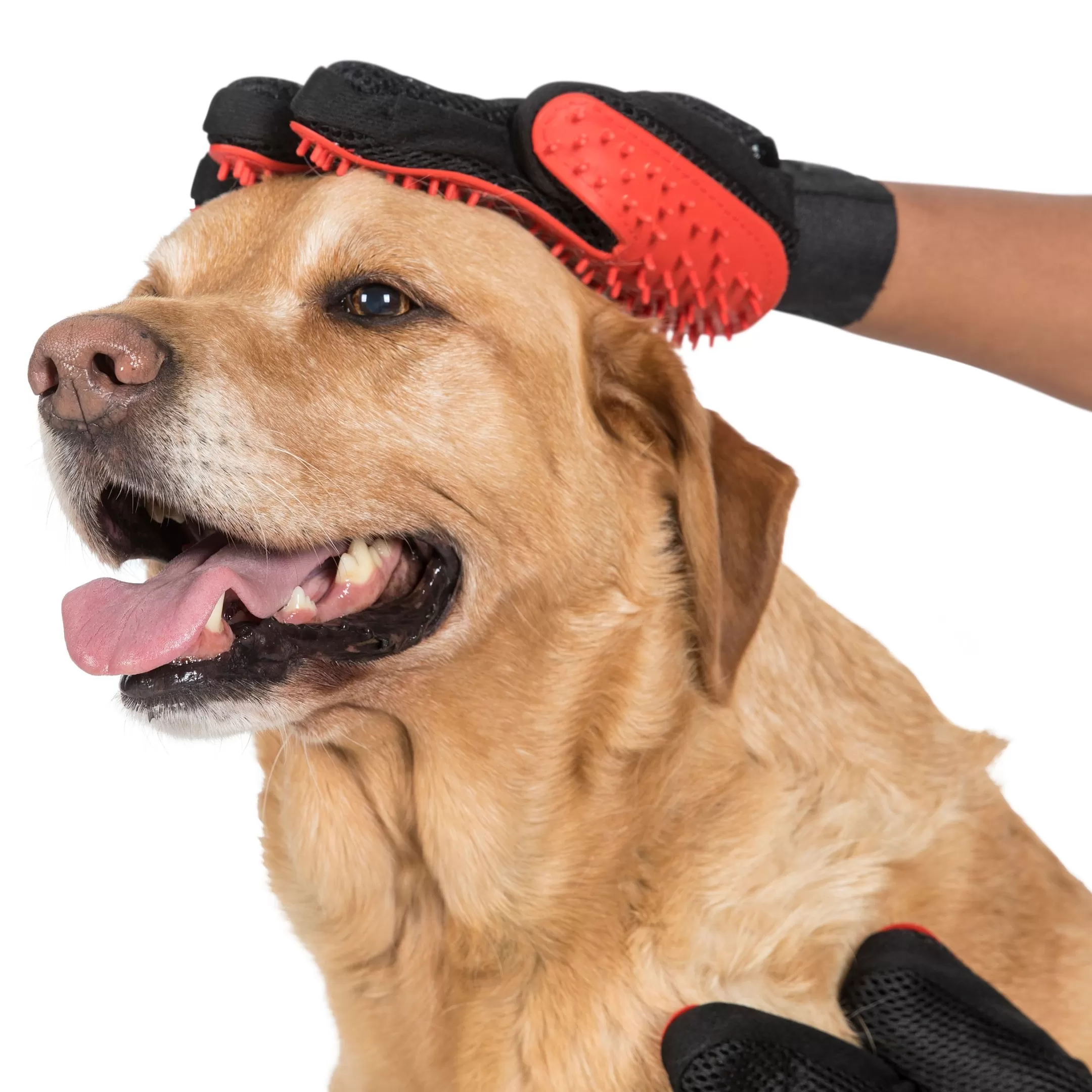 Trespaws Dog Grooming Mitts Teddy | Trespass Cheap