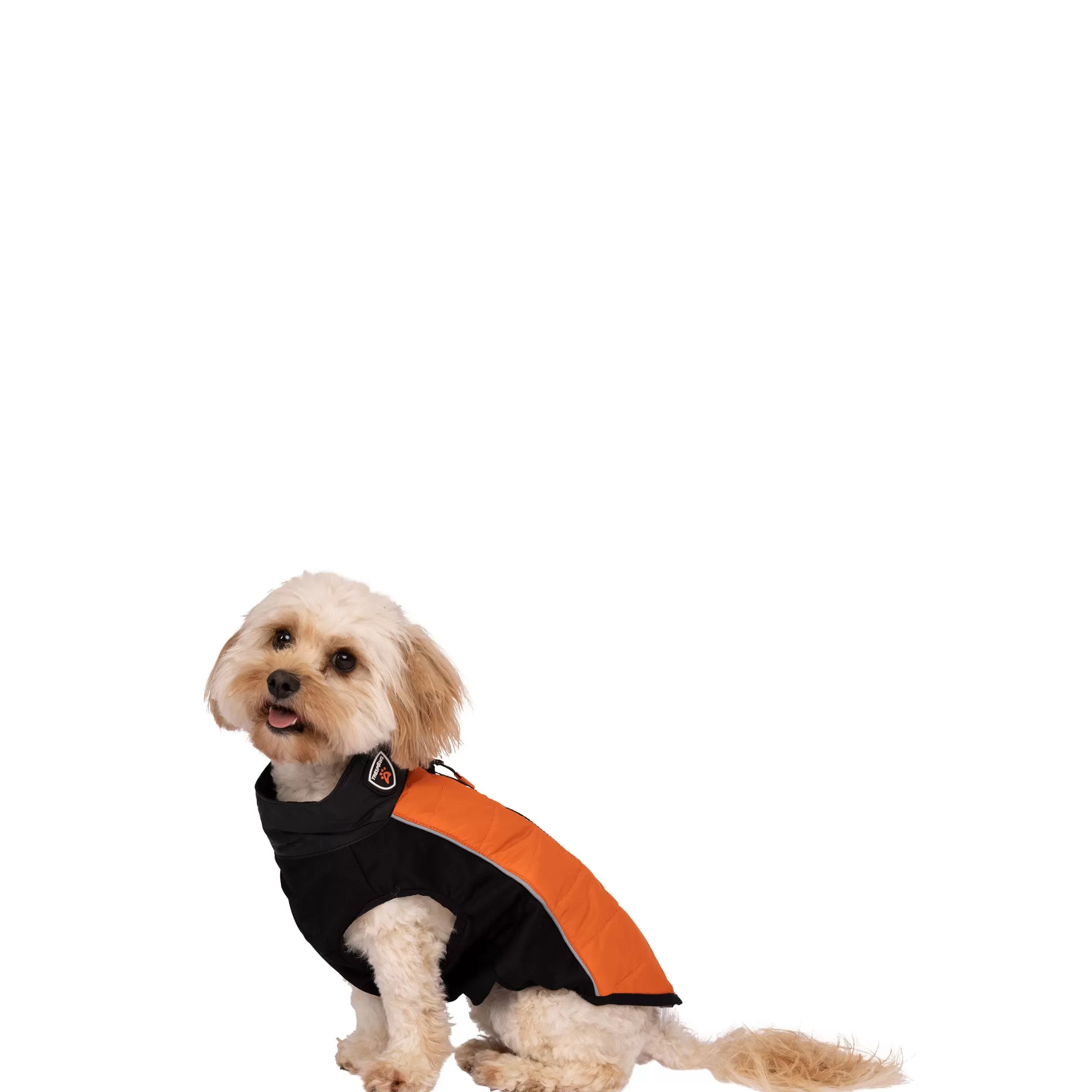 Trespaws Extra Small Dog Jacket Beedle - Black & Burnt Orange | Trespass Shop