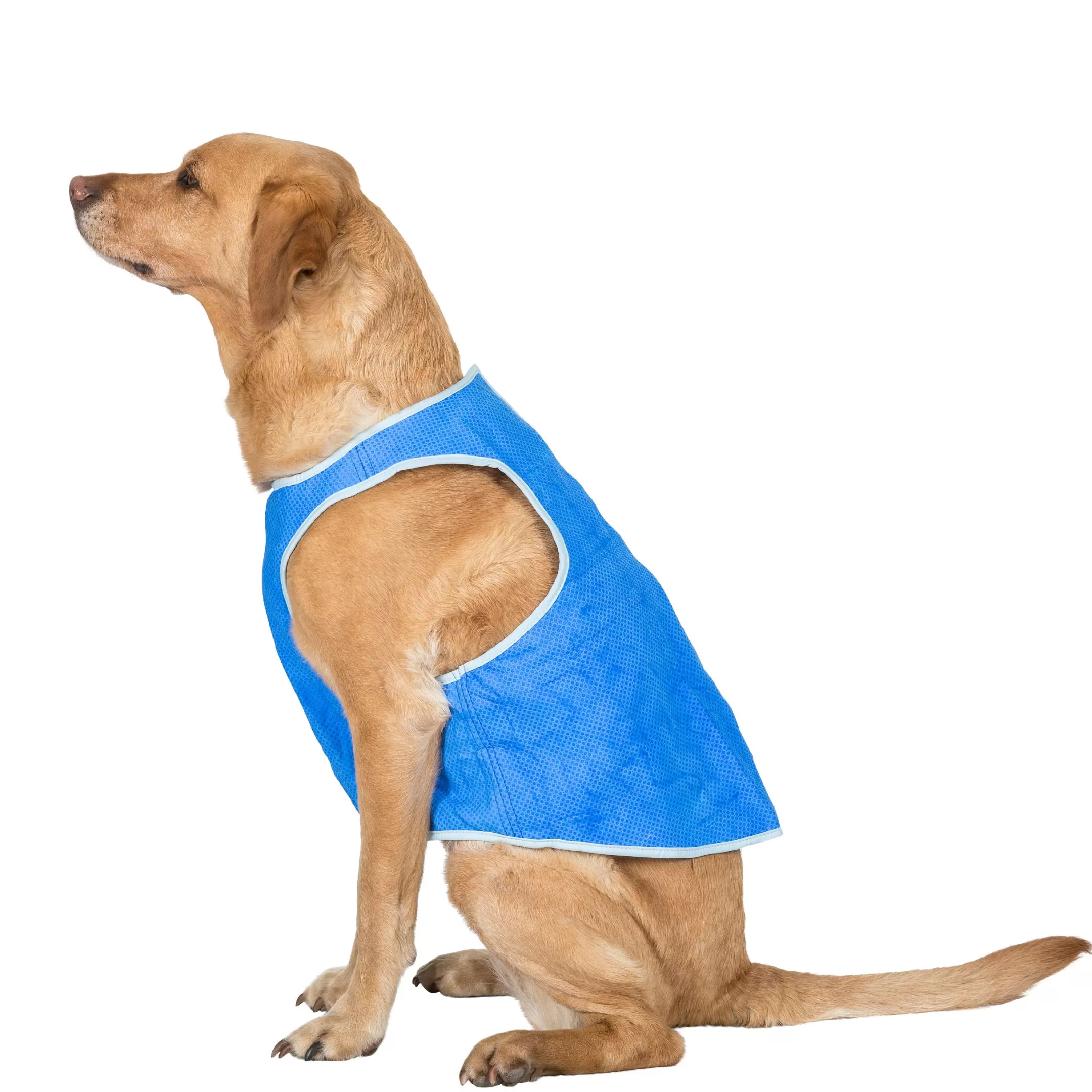 Trespaws Large Dog Cooling Vest in Sapphire Alaska | Trespass Online