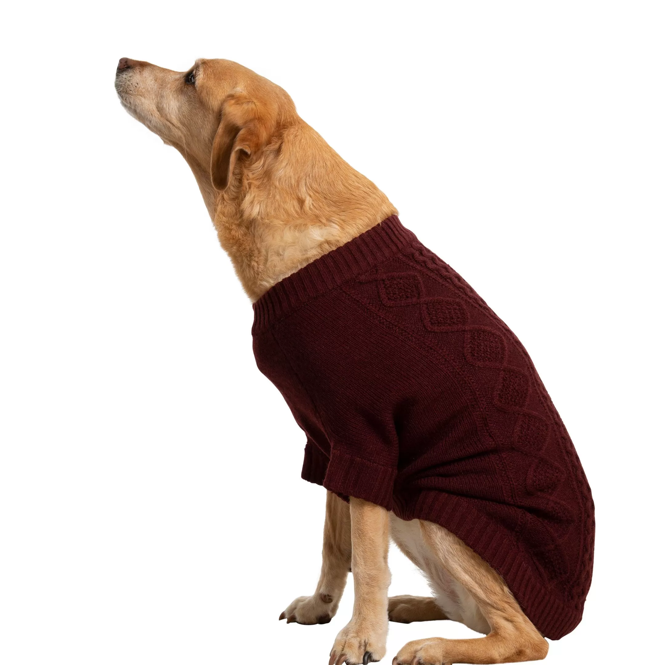 Trespaws Large Dog Jumper Snowhound Merlot | Trespass Outlet