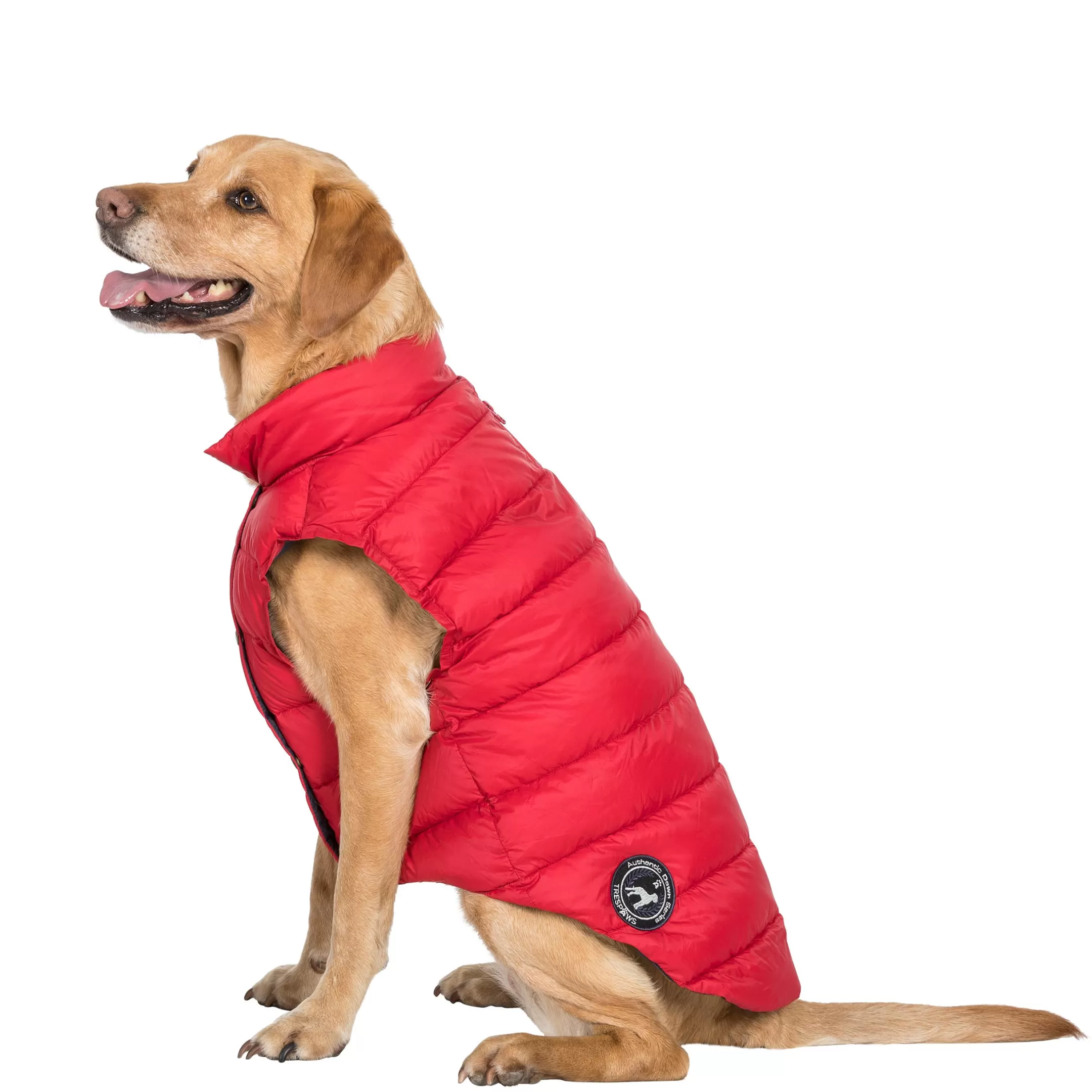 Trespaws Large Down Dog Jacket in Red Dogby | Trespass Flash Sale
