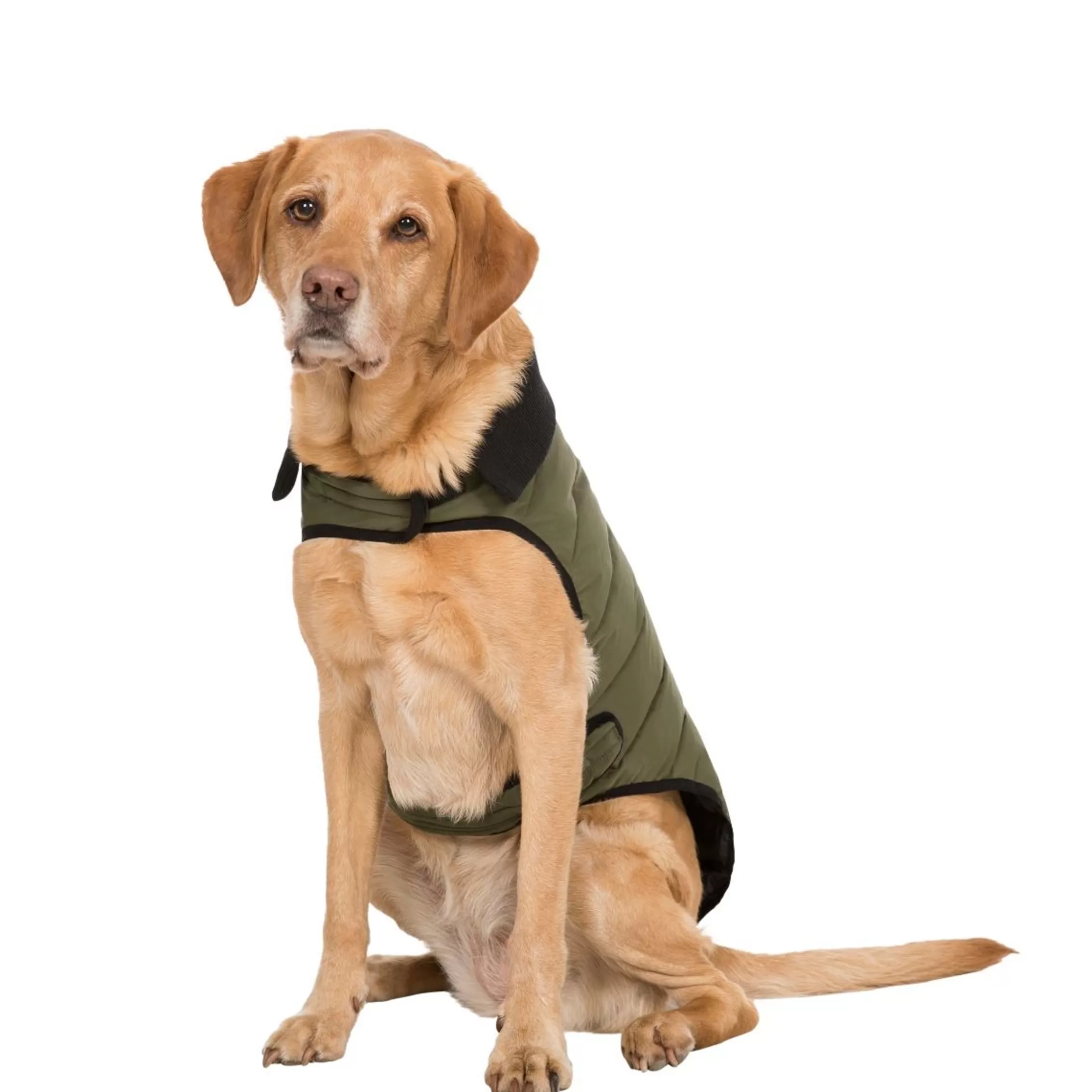 Trespaws Large Eco Friendly Dog Puffer Jacket in Khaki Lloyd | Trespass Outlet