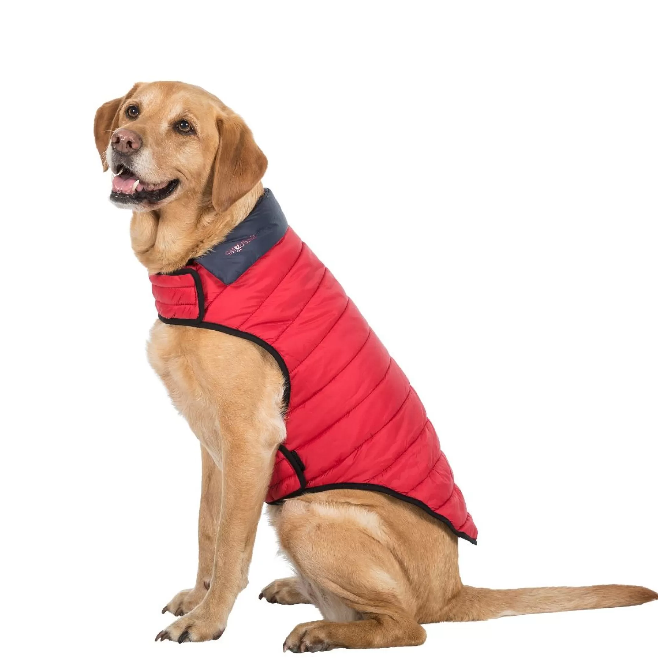 Trespaws Large Quilted Reversible Packaway Dog Jacket in Flint Kimmi | Trespass Fashion