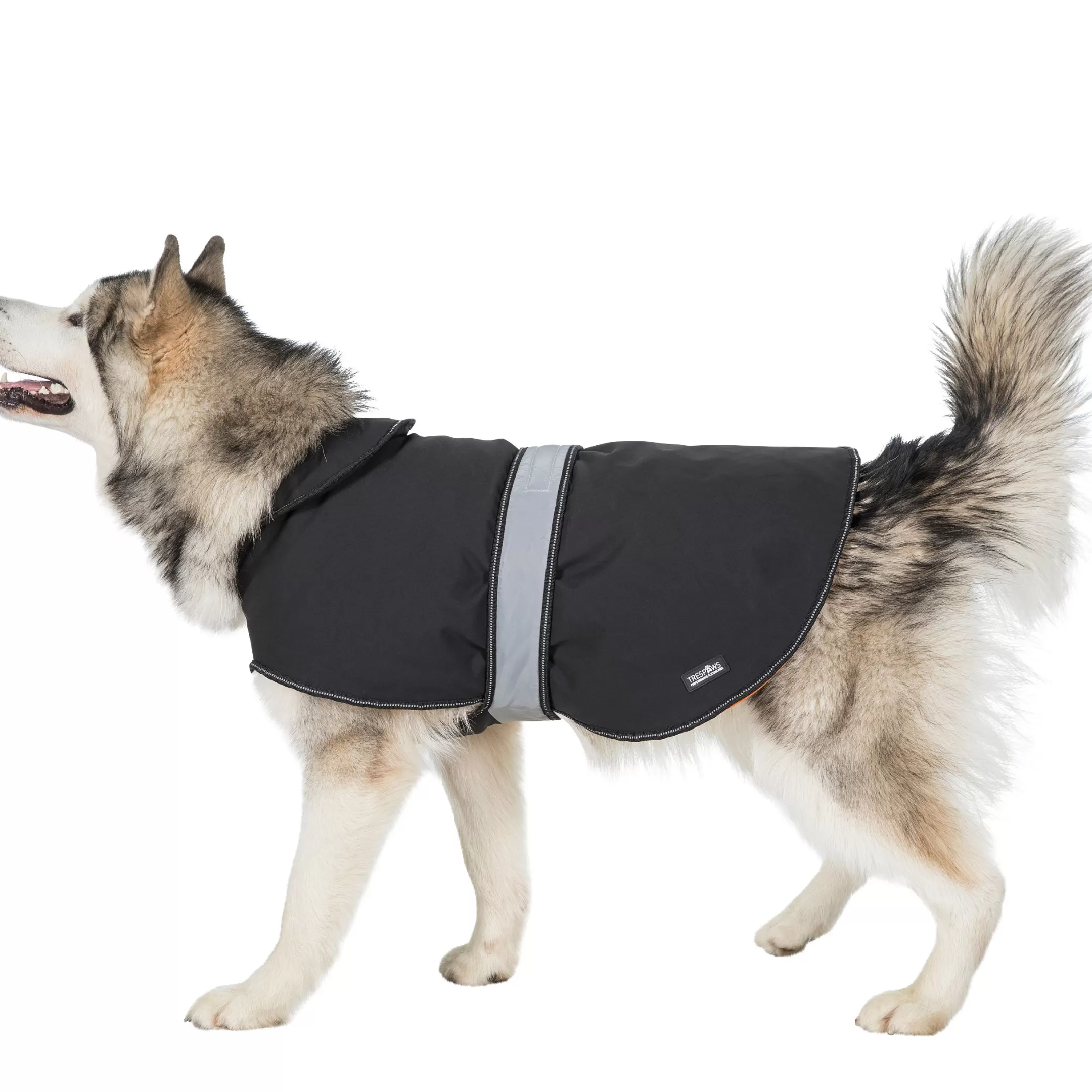 Trespaws Large Softshell dog coat Butch X Black X | Trespass Sale