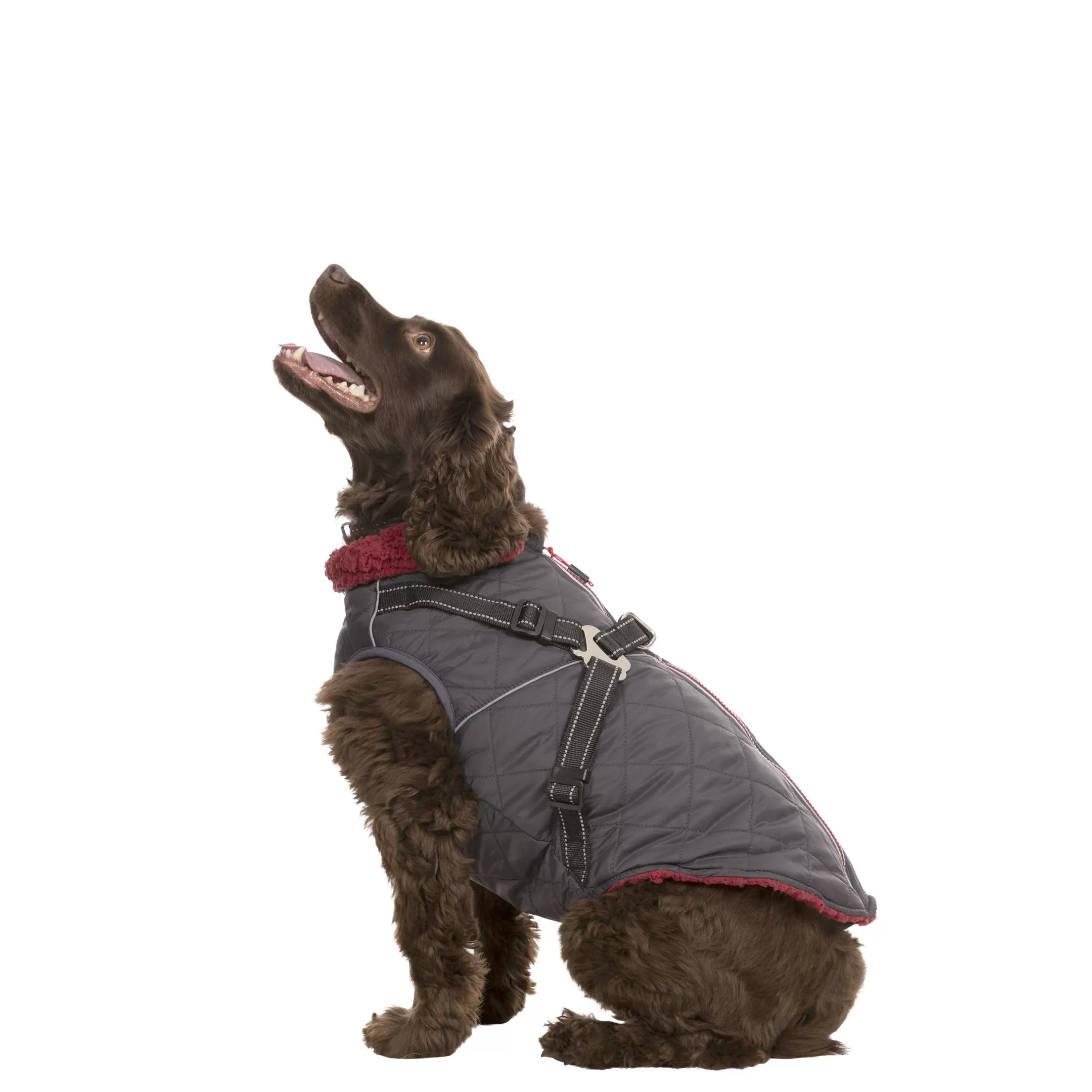 Trespaws Medium 2 in 1 Windproof Dog Coat Hercules | Trespass Cheap
