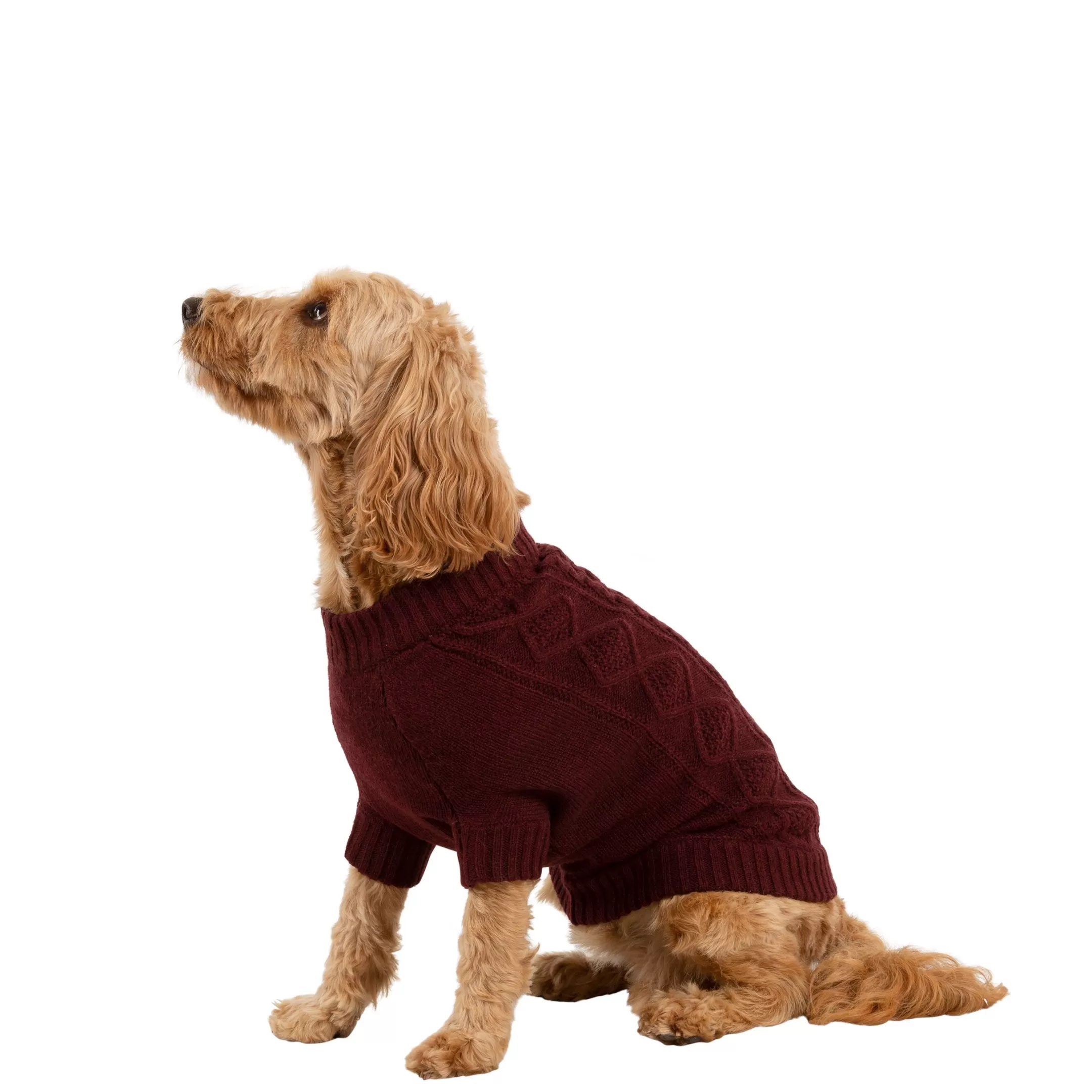 Trespaws Medium Dog Jumper Snowhound | Trespass Hot