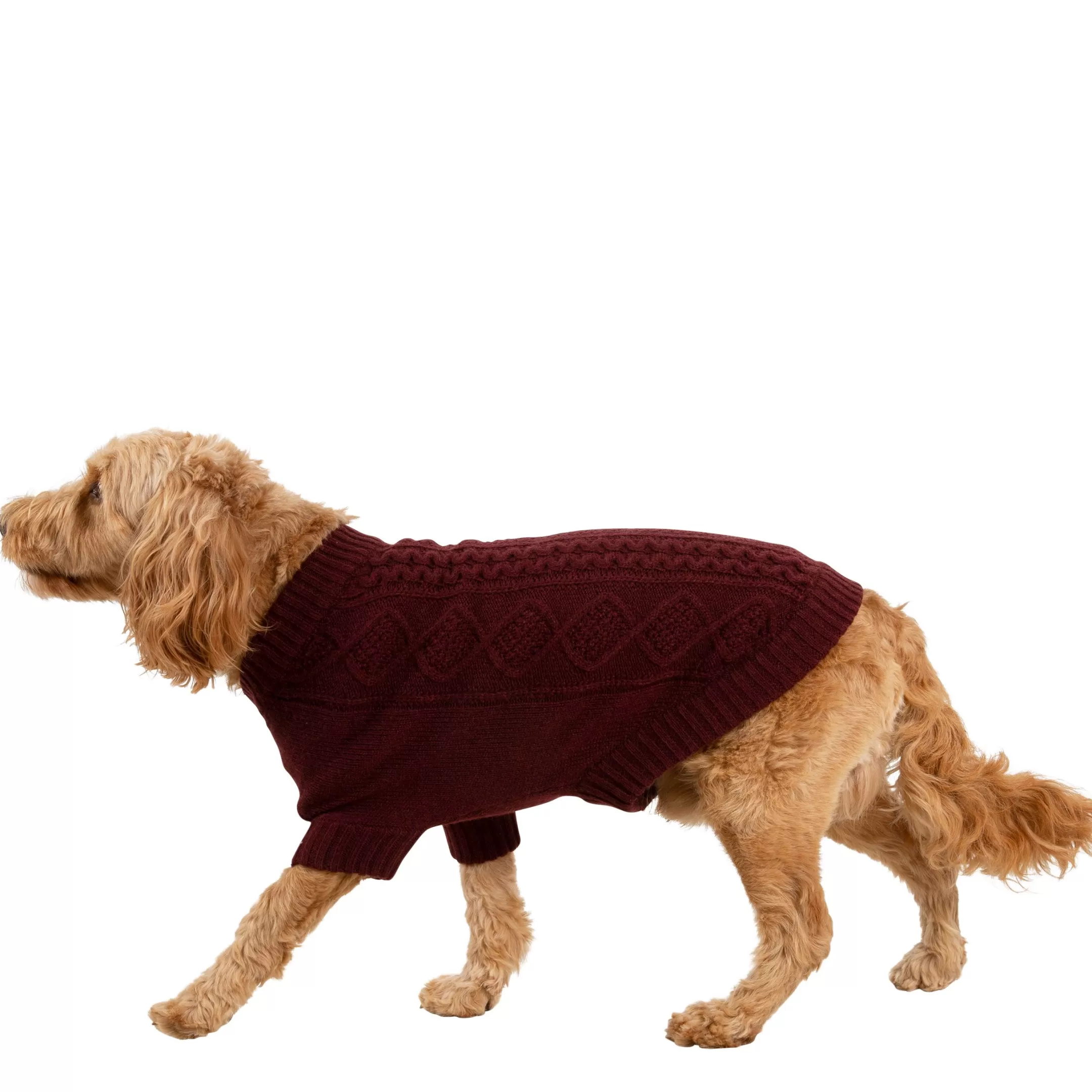 Trespaws Medium Dog Jumper Snowhound | Trespass Hot