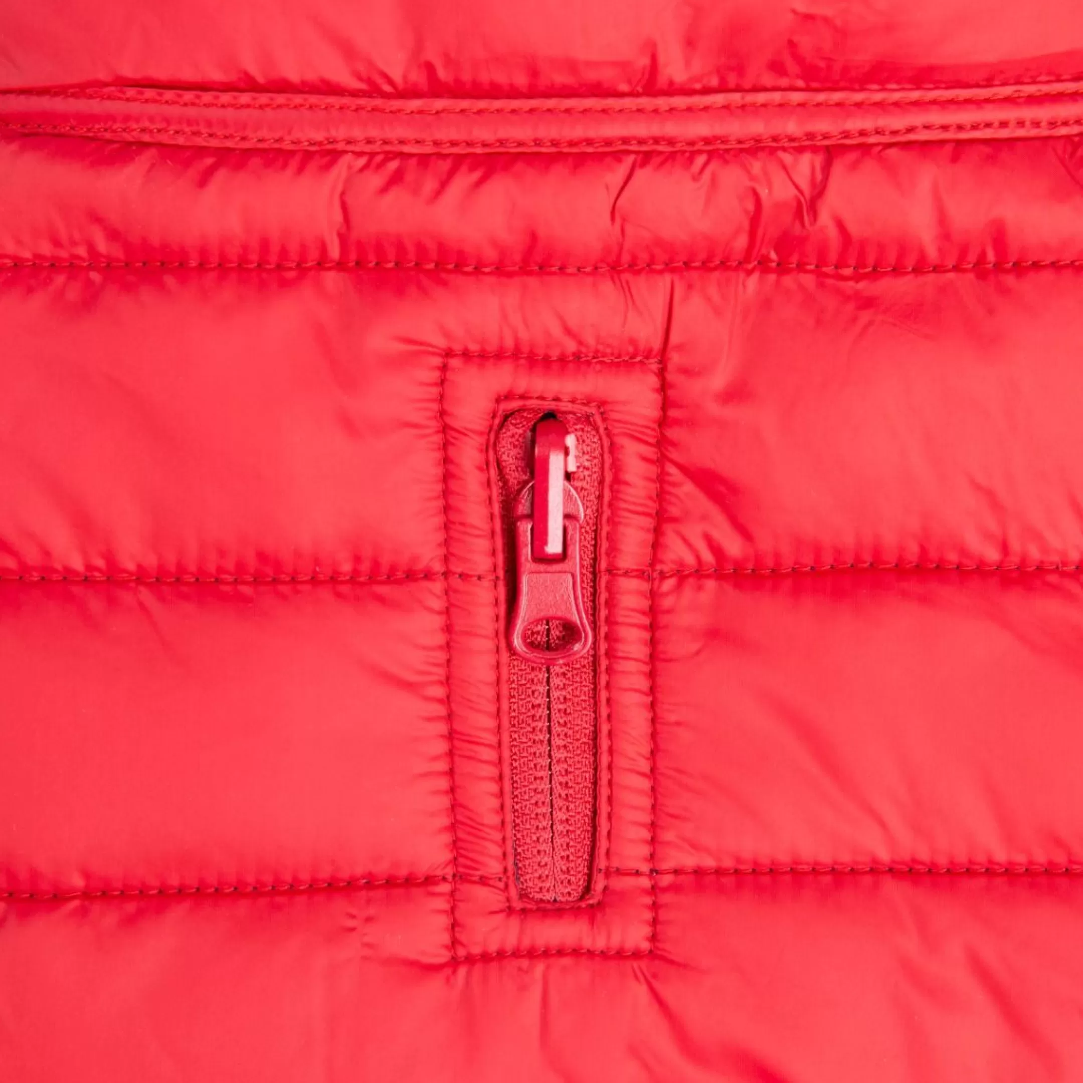 Trespaws Medium Quilted Reversible Packaway Dog Jacket in Flint Kimmi | Trespass Outlet