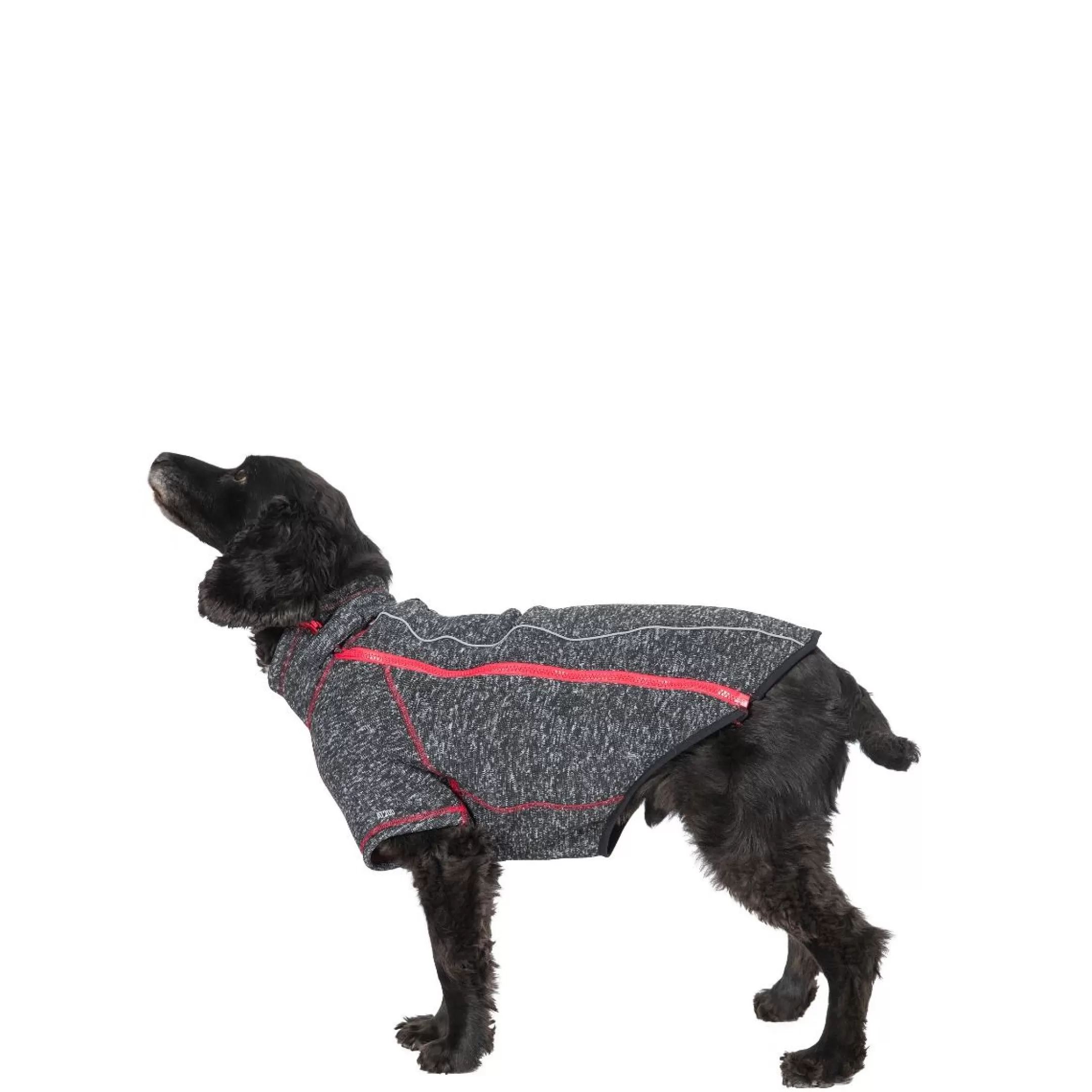 Trespaws Medium Windproof Dog Fleece AT300 in Black Melange Boomer | Trespass Flash Sale