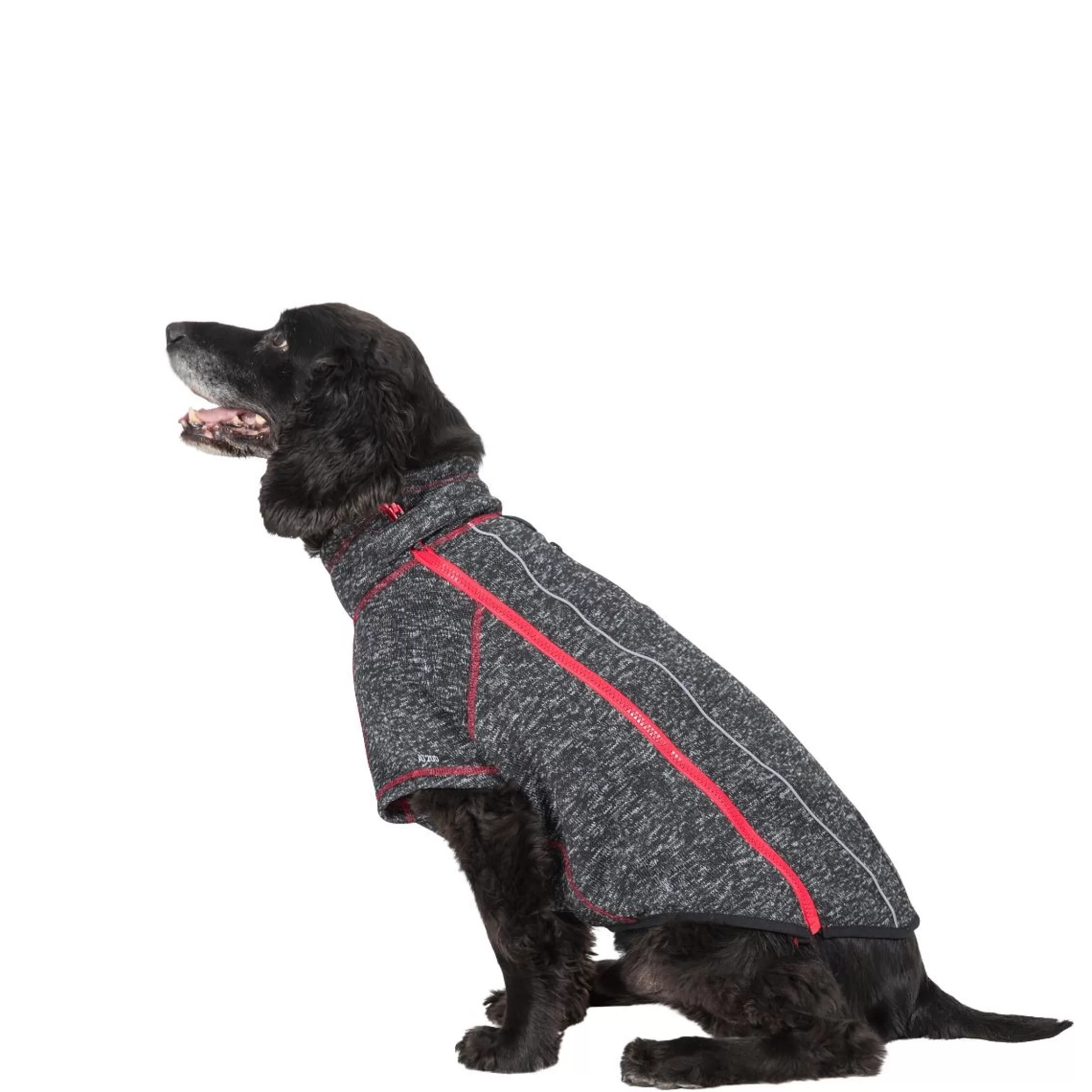 Trespaws Medium Windproof Dog Fleece AT300 in Black Melange Boomer | Trespass Flash Sale