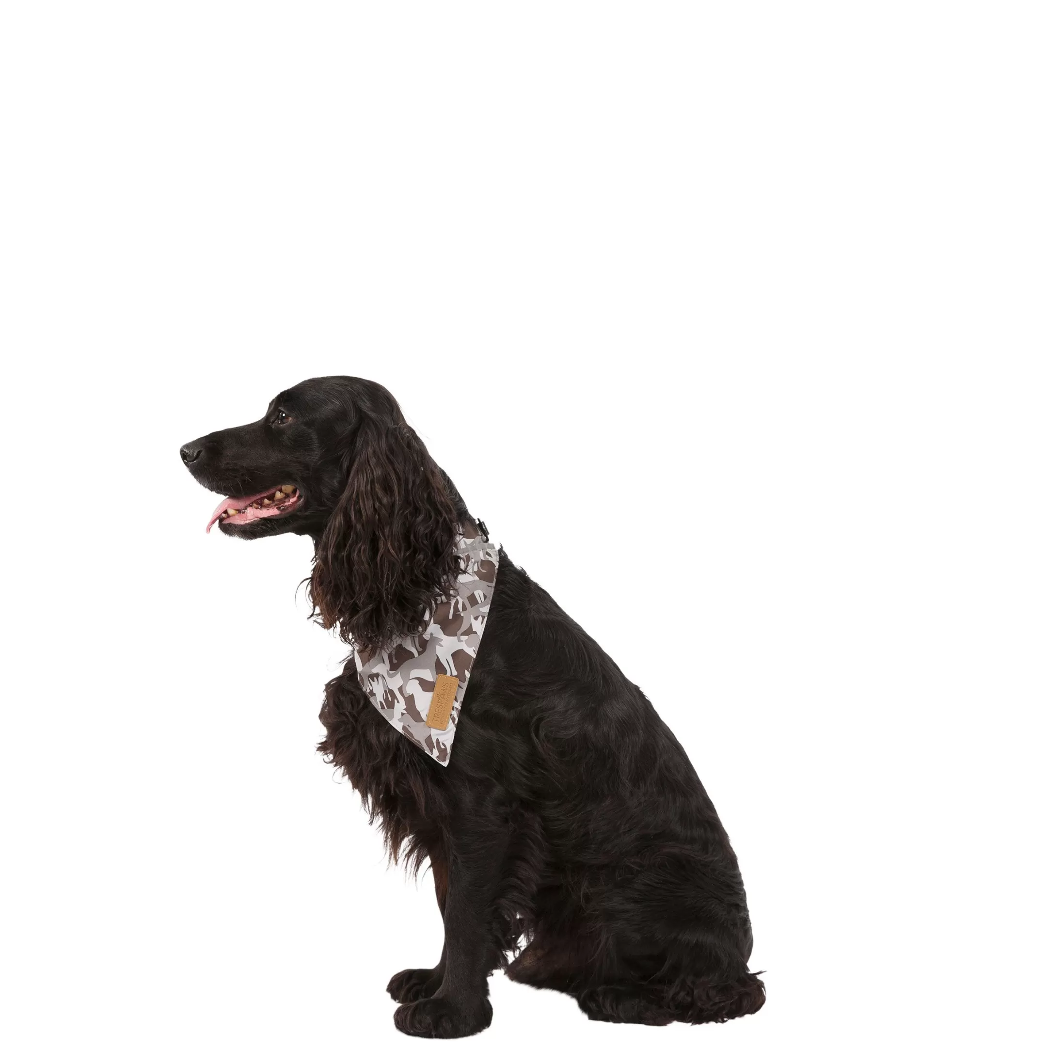 Trespaws M/XL Dog Insect Repellent Bandana in Grey Camo Alpha | Trespass Cheap