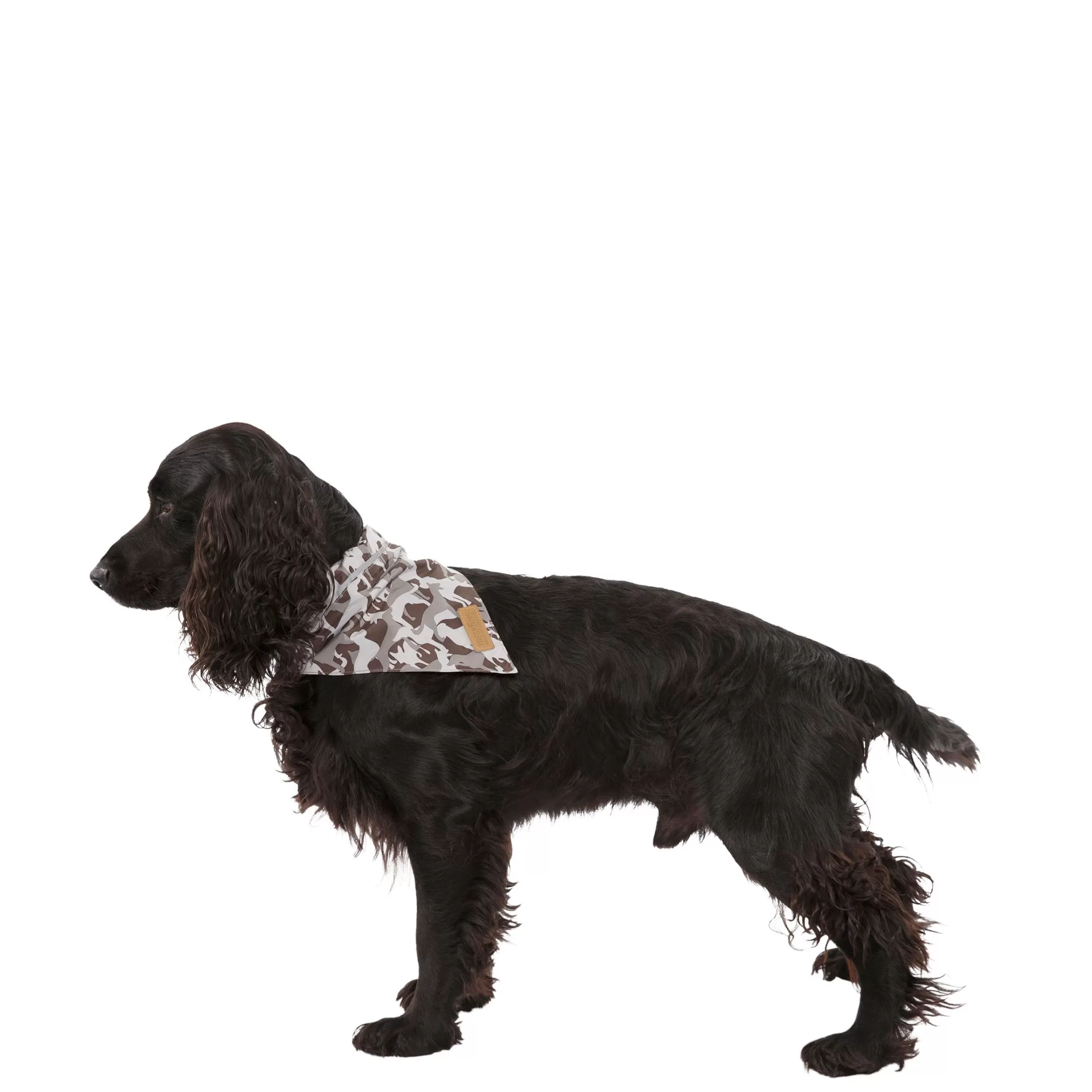 Trespaws M/XL Dog Insect Repellent Bandana in Grey Camo Alpha | Trespass Cheap