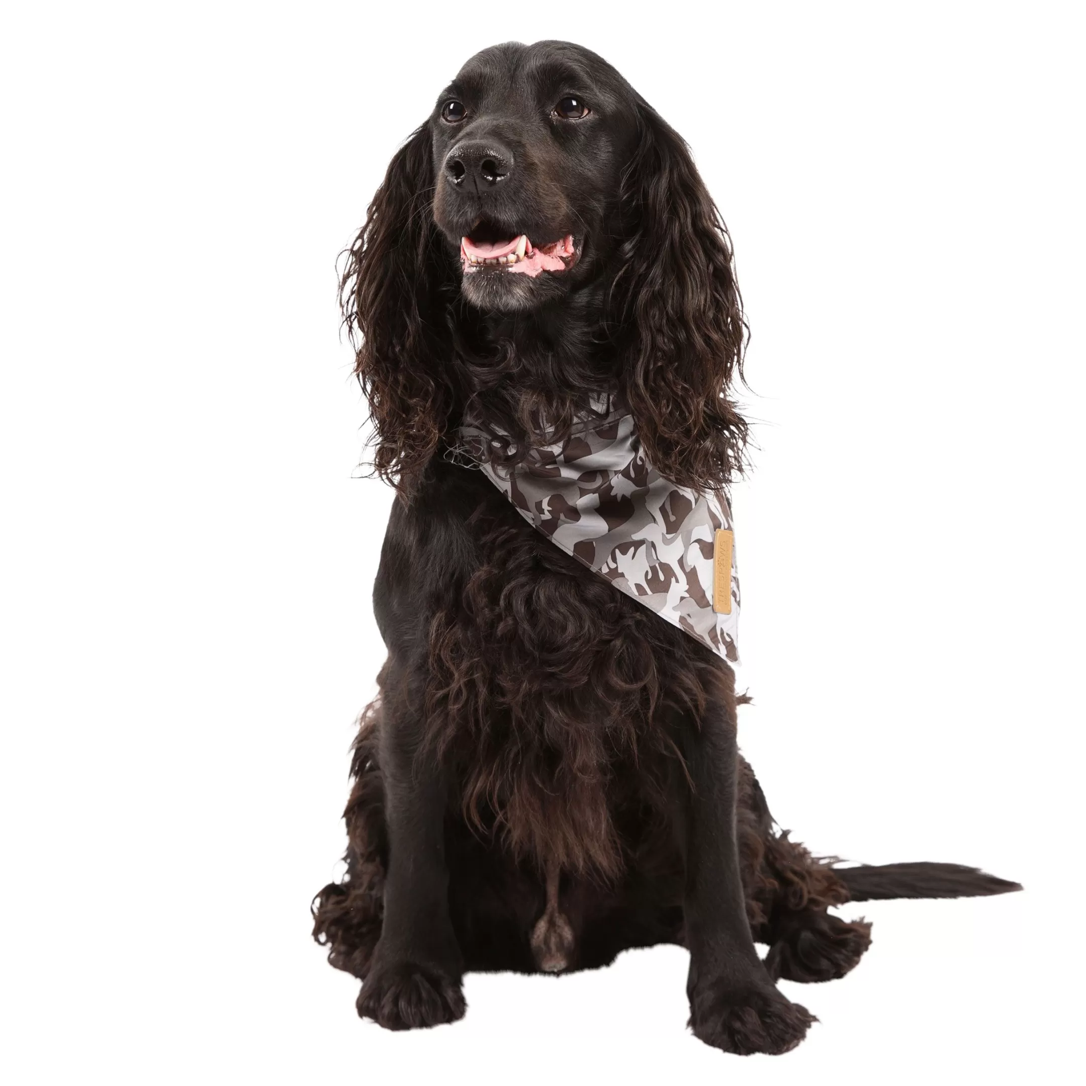 Trespaws M/XL Dog Insect Repellent Bandana in Grey Camo Alpha | Trespass Cheap