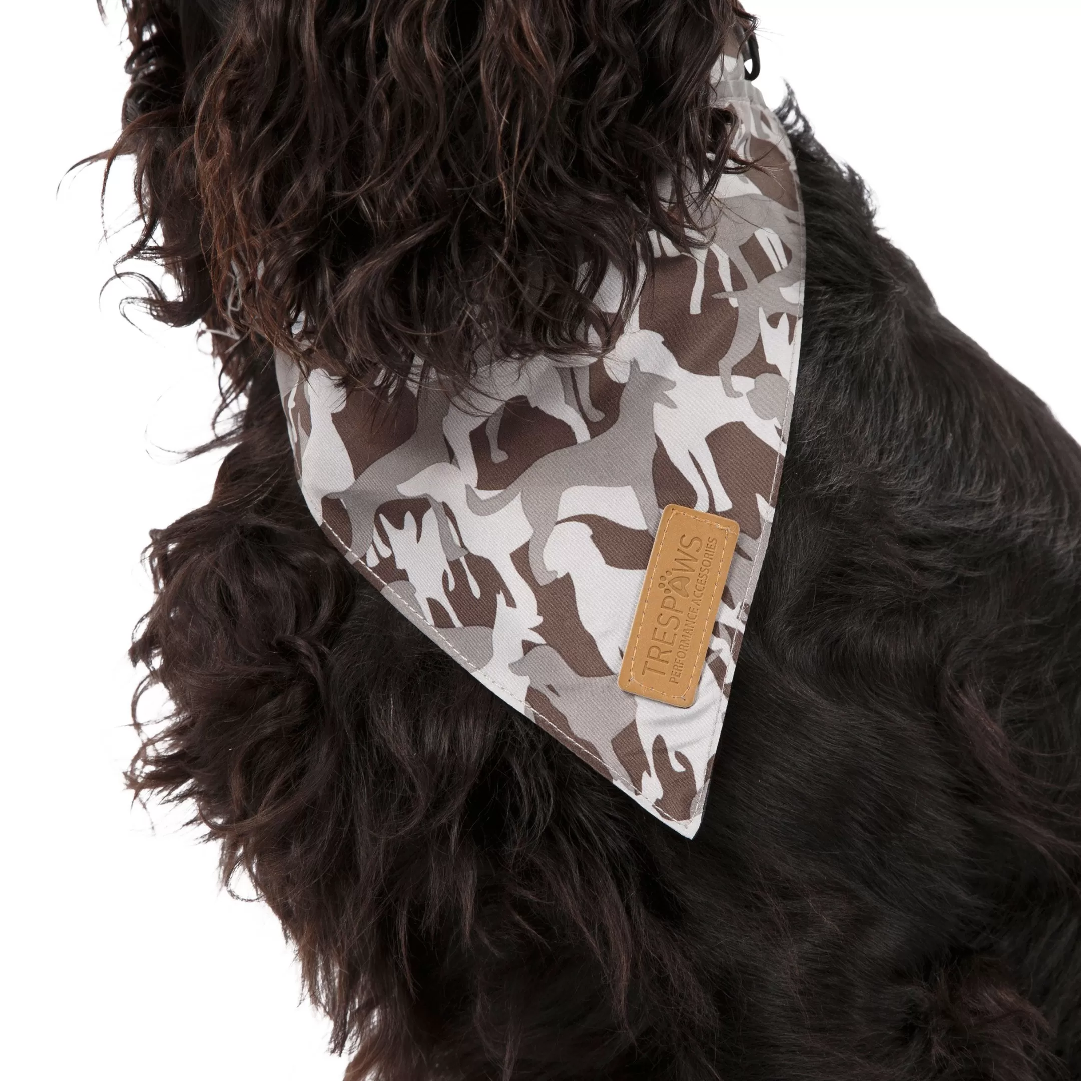 Trespaws M/XL Dog Insect Repellent Bandana in Grey Camo Alpha | Trespass Cheap