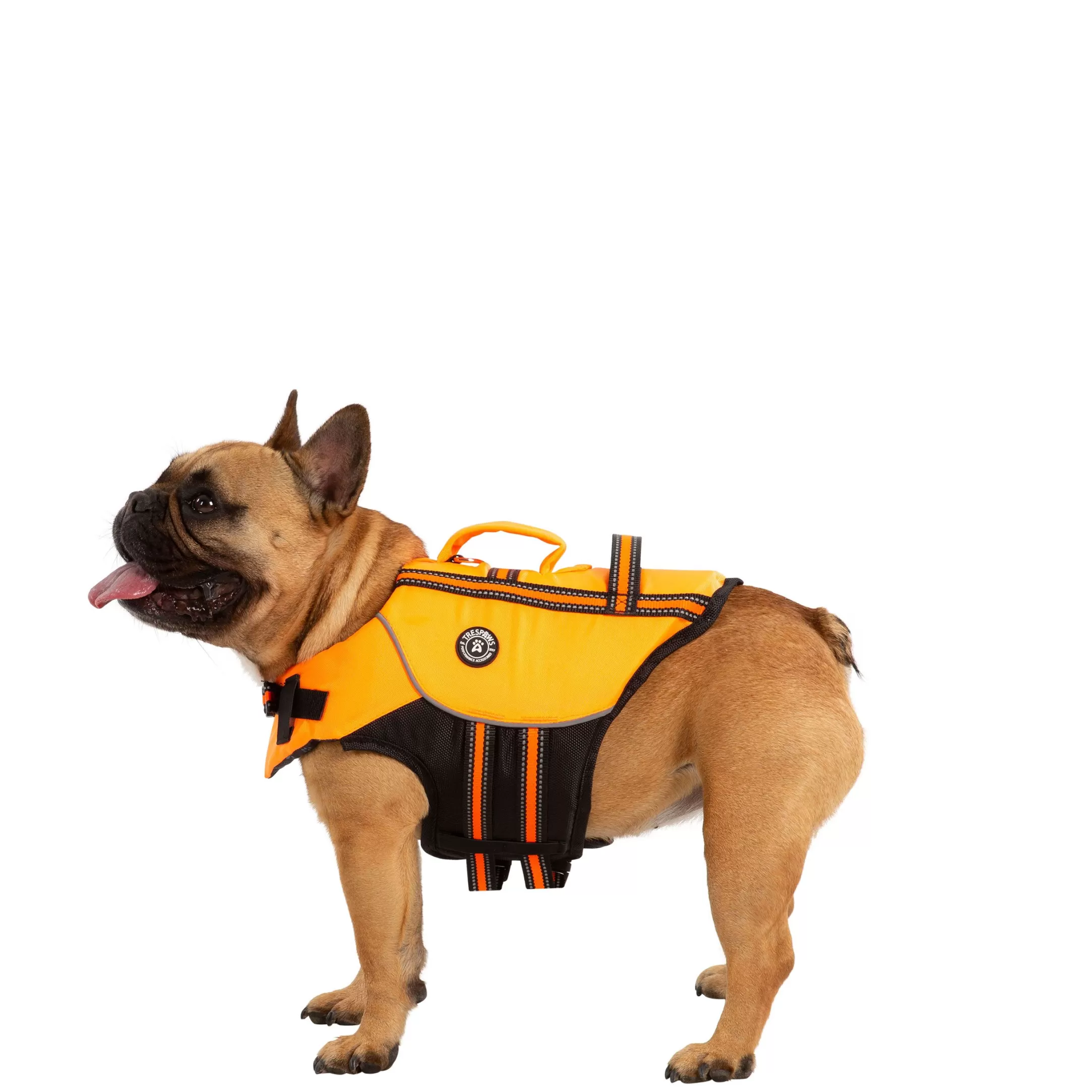 Trespaws Small Buoyancy Aid in HighVis Surfdog | Trespass Fashion