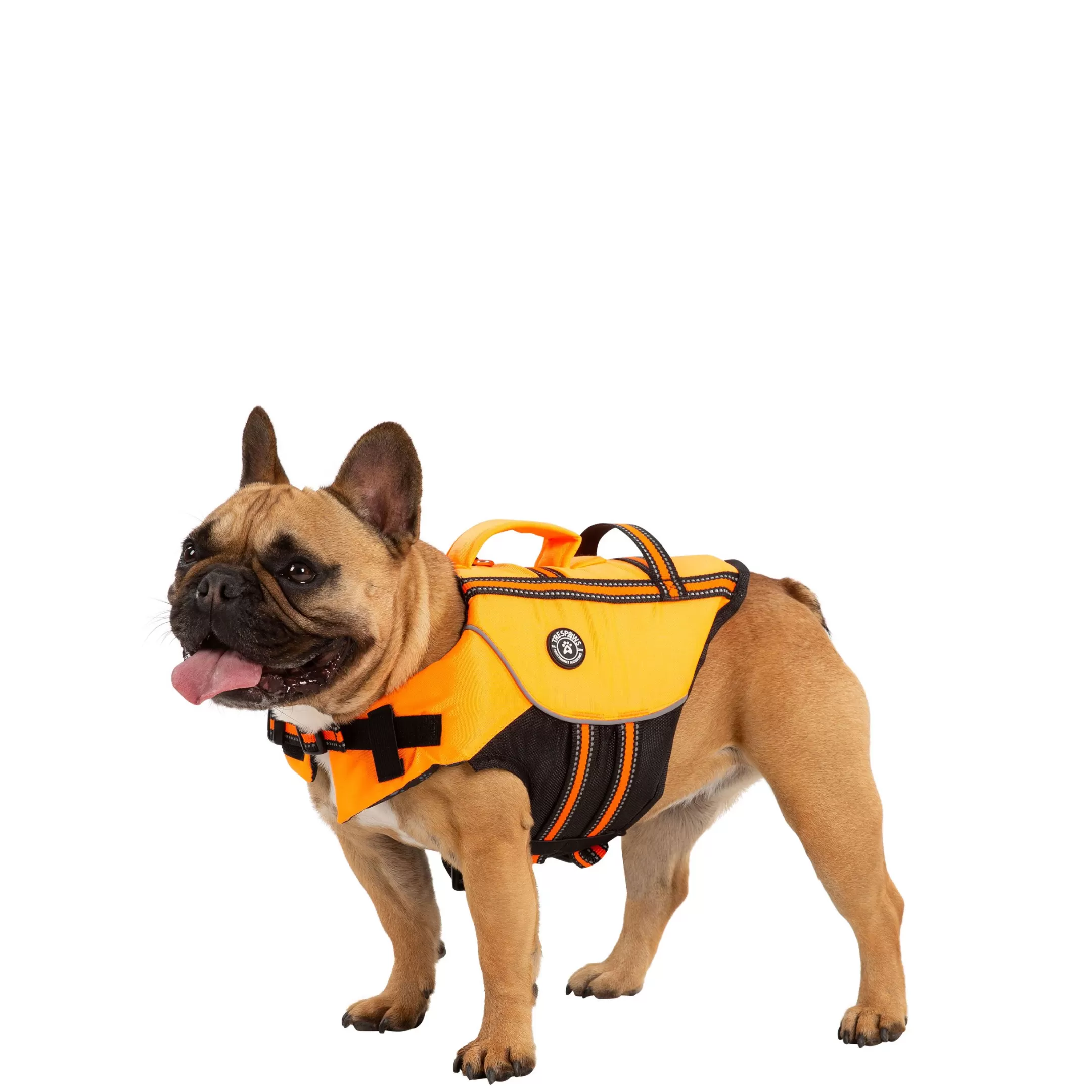 Trespaws Small Buoyancy Aid in HighVis Surfdog | Trespass Fashion