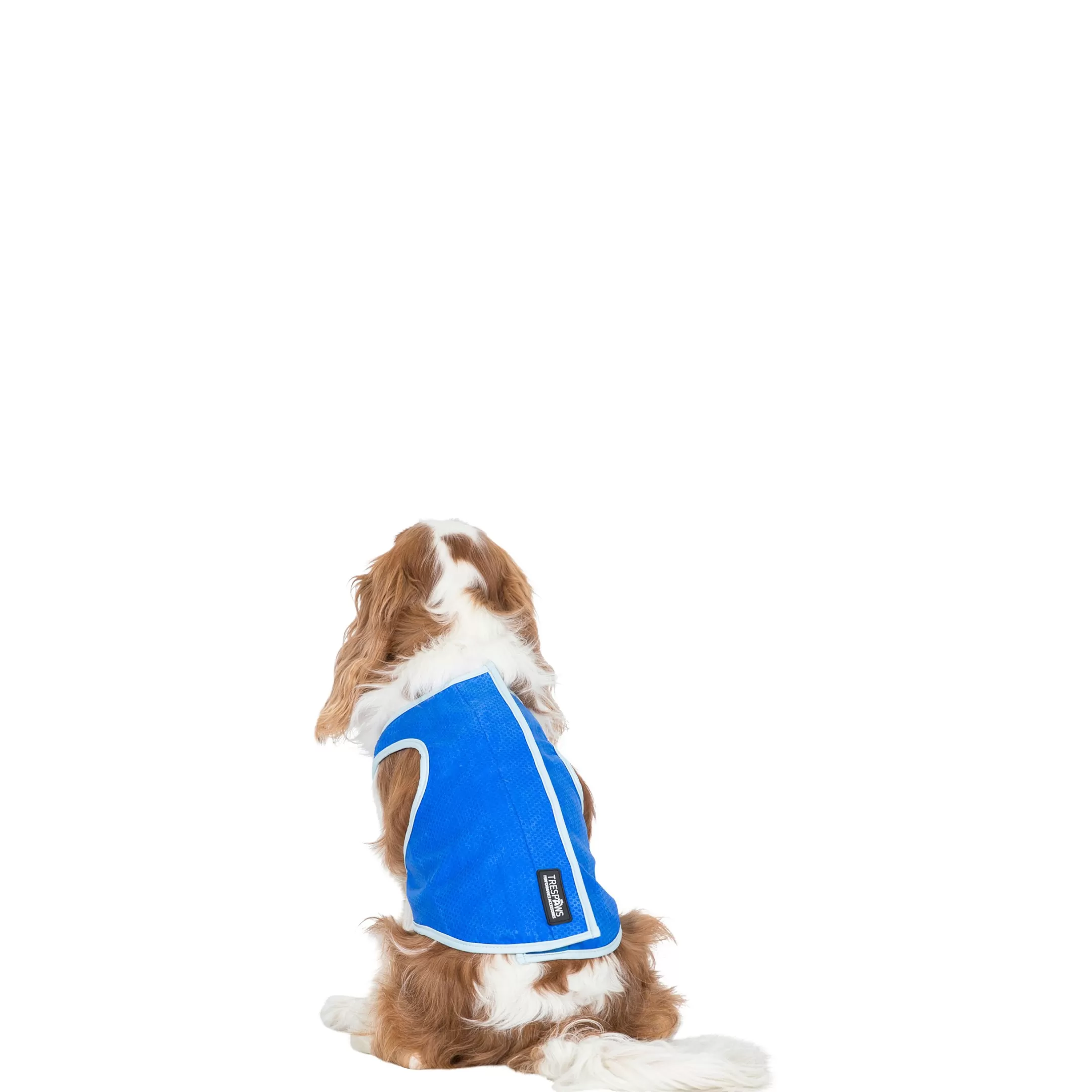 Trespaws Small Dog Cooling Vest in Sapphire Alaska | Trespass Flash Sale