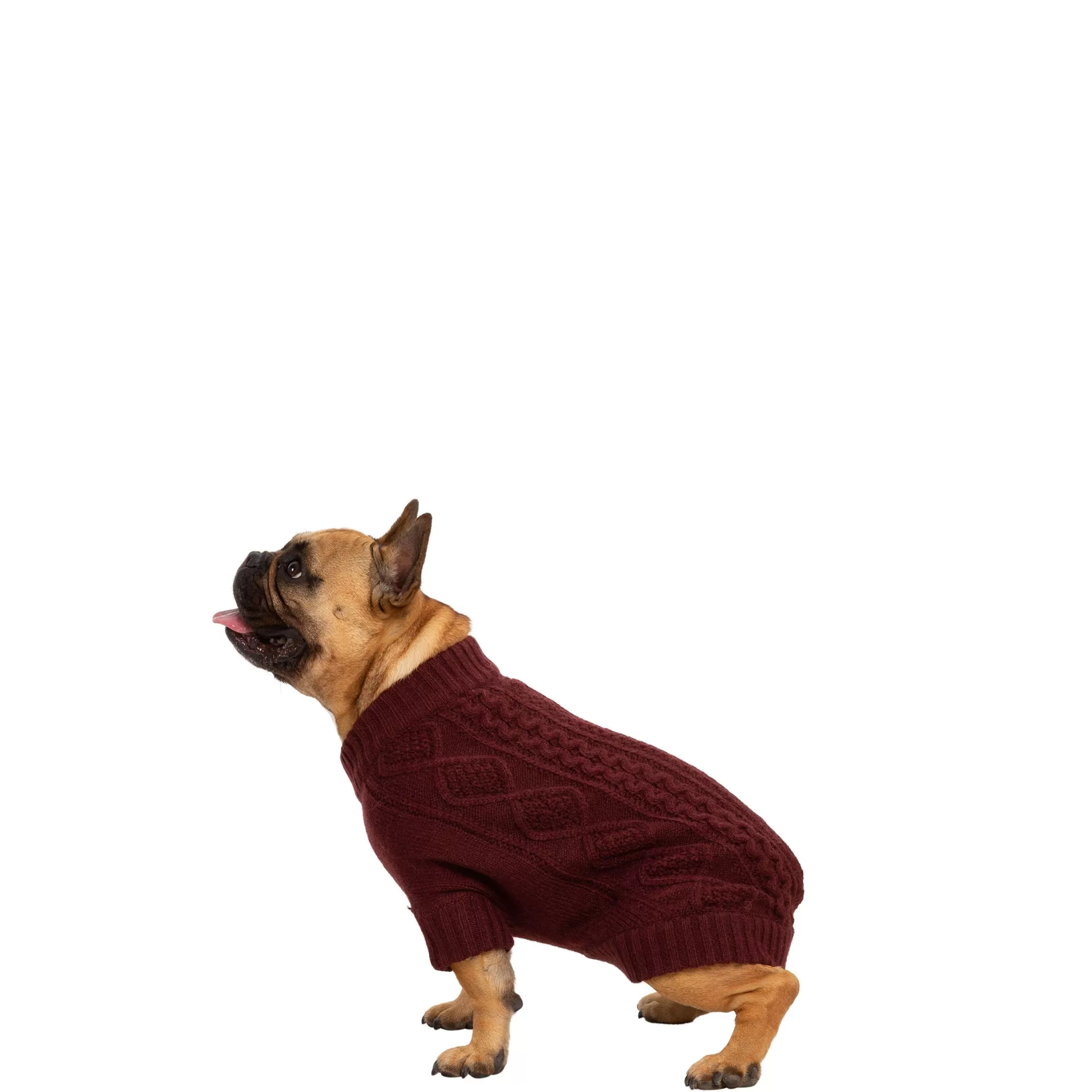 Trespaws Small Dog Jumper in Merlot Snowhound | Trespass Fashion