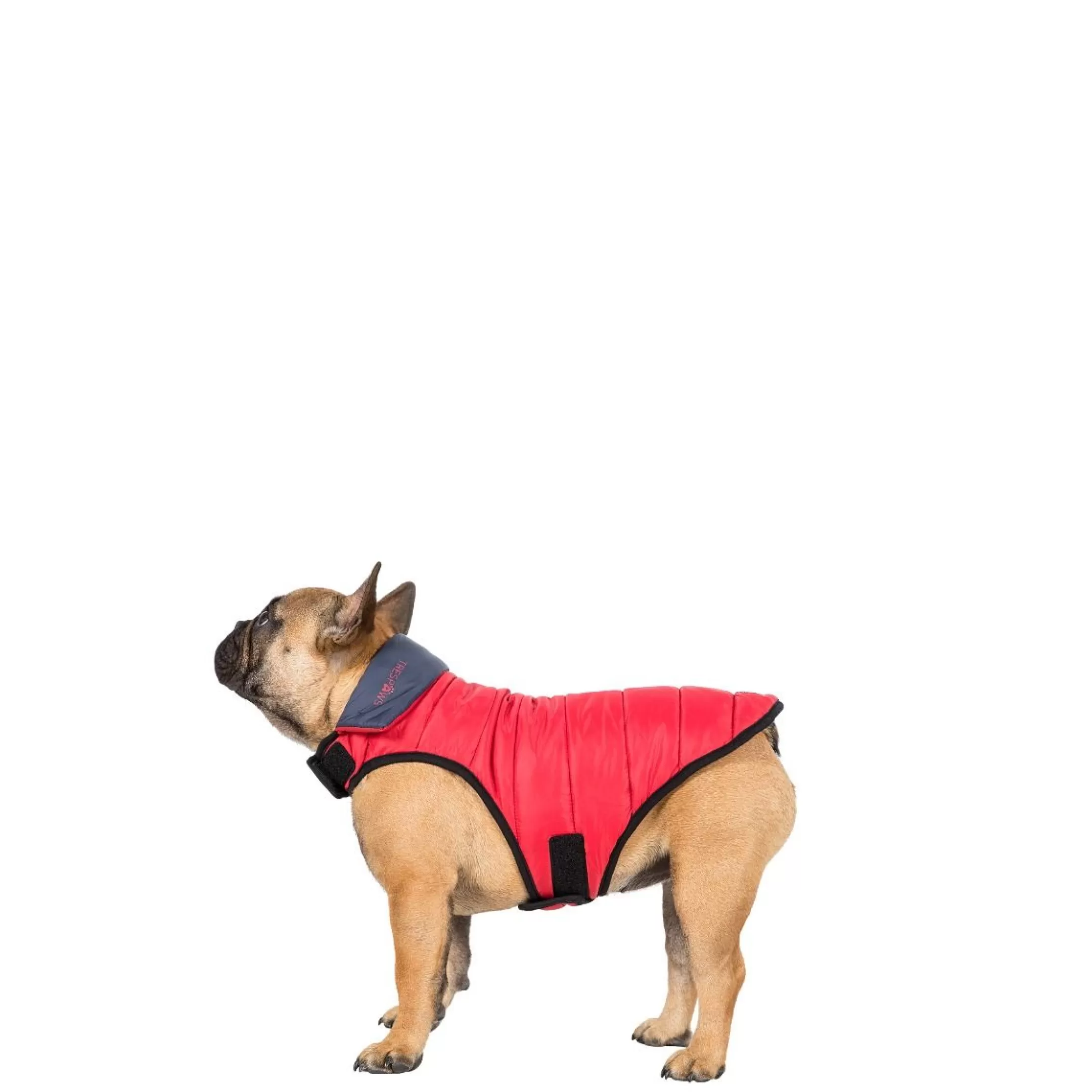 Trespaws Small Quilted Reversible Packaway Dog Jacket in Flint Kimmi | Trespass Fashion