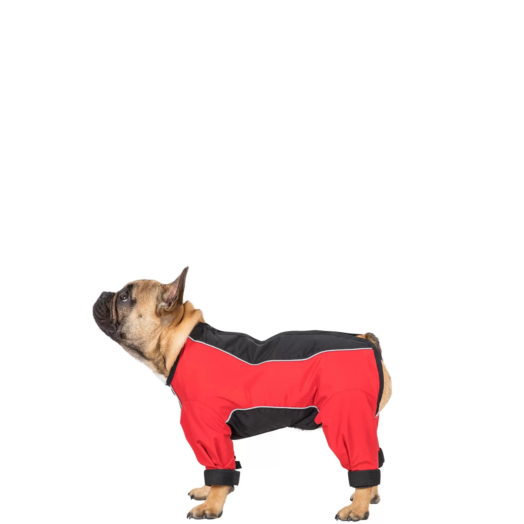 Trespaws Small Windproof Dog Coat with Leg Covers in Red Tia | Trespass Fashion