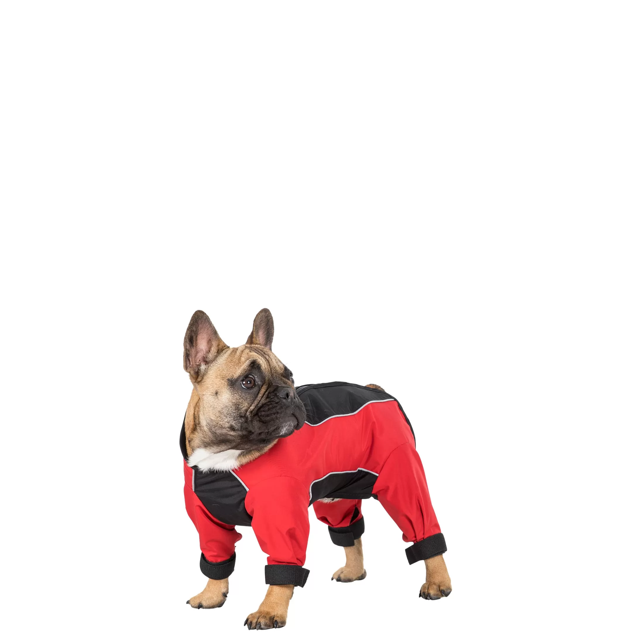 Trespaws Small Windproof Dog Coat with Leg Covers in Red Tia | Trespass Fashion