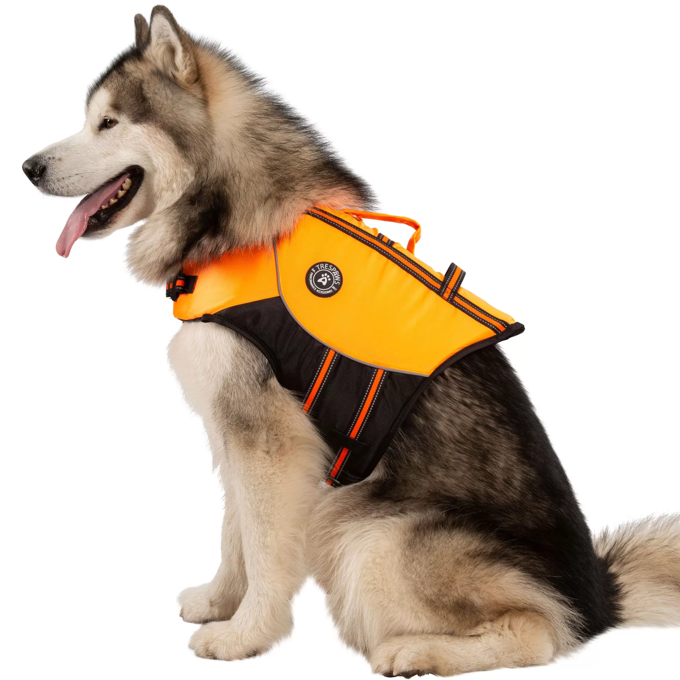 Trespaws XL Buoyancy Aid Surfdog High Vis | Trespass Outlet