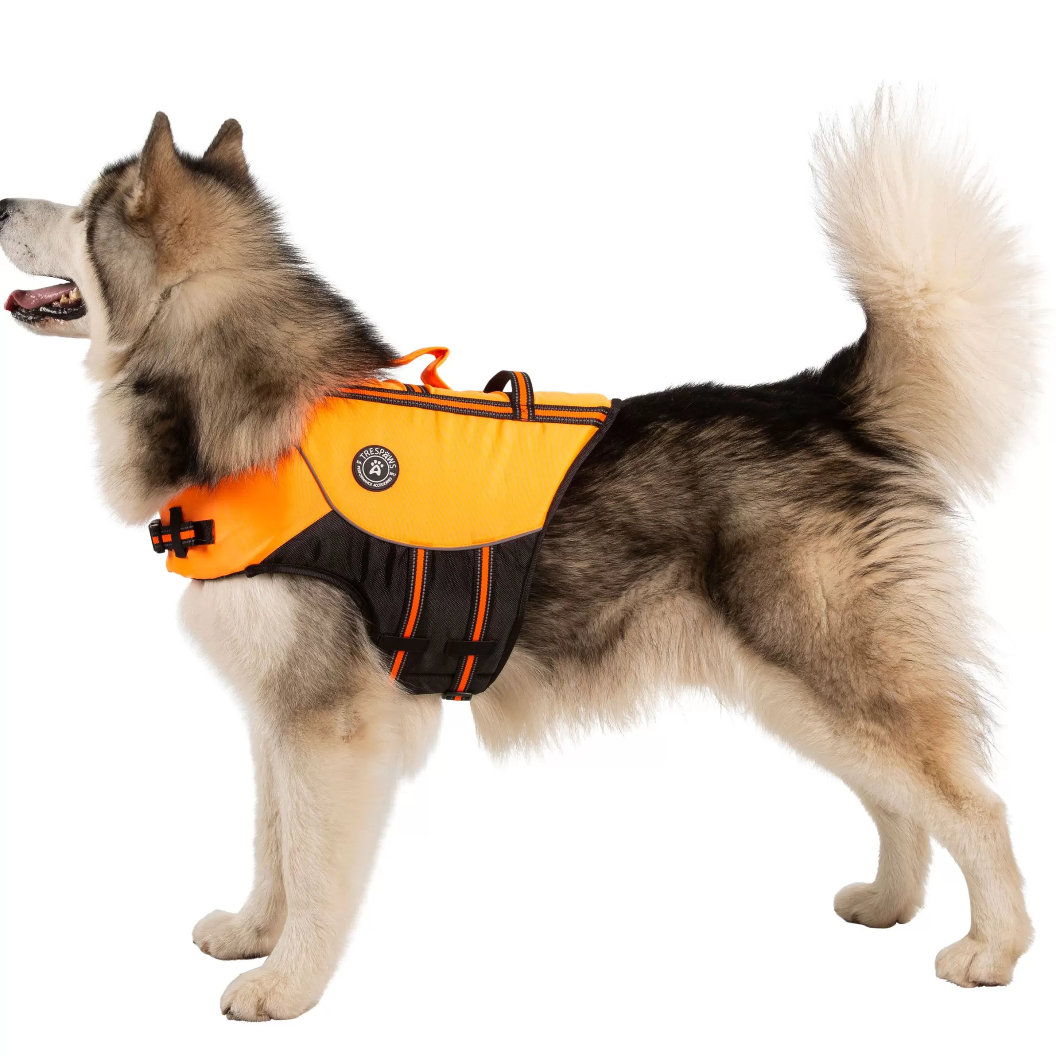 Trespaws XL Buoyancy Aid Surfdog High Vis | Trespass Outlet