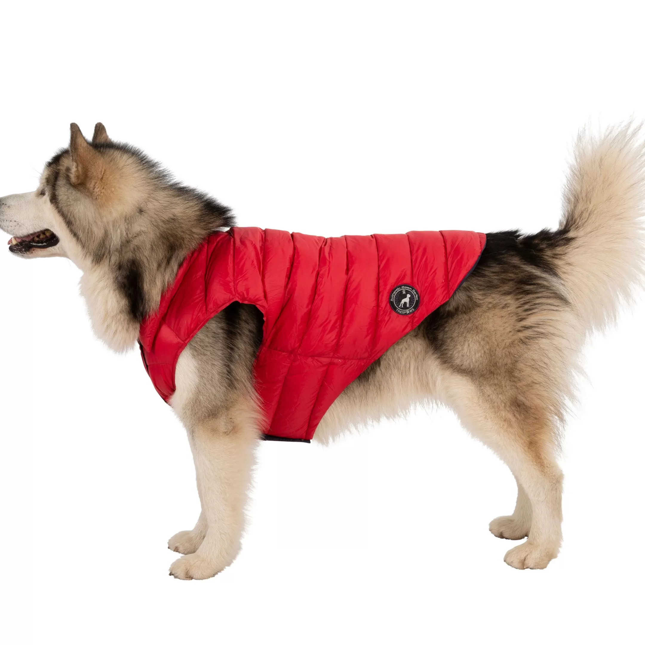 Trespaws XL Down Dog Jacket in Red Dogby | Trespass Best Sale