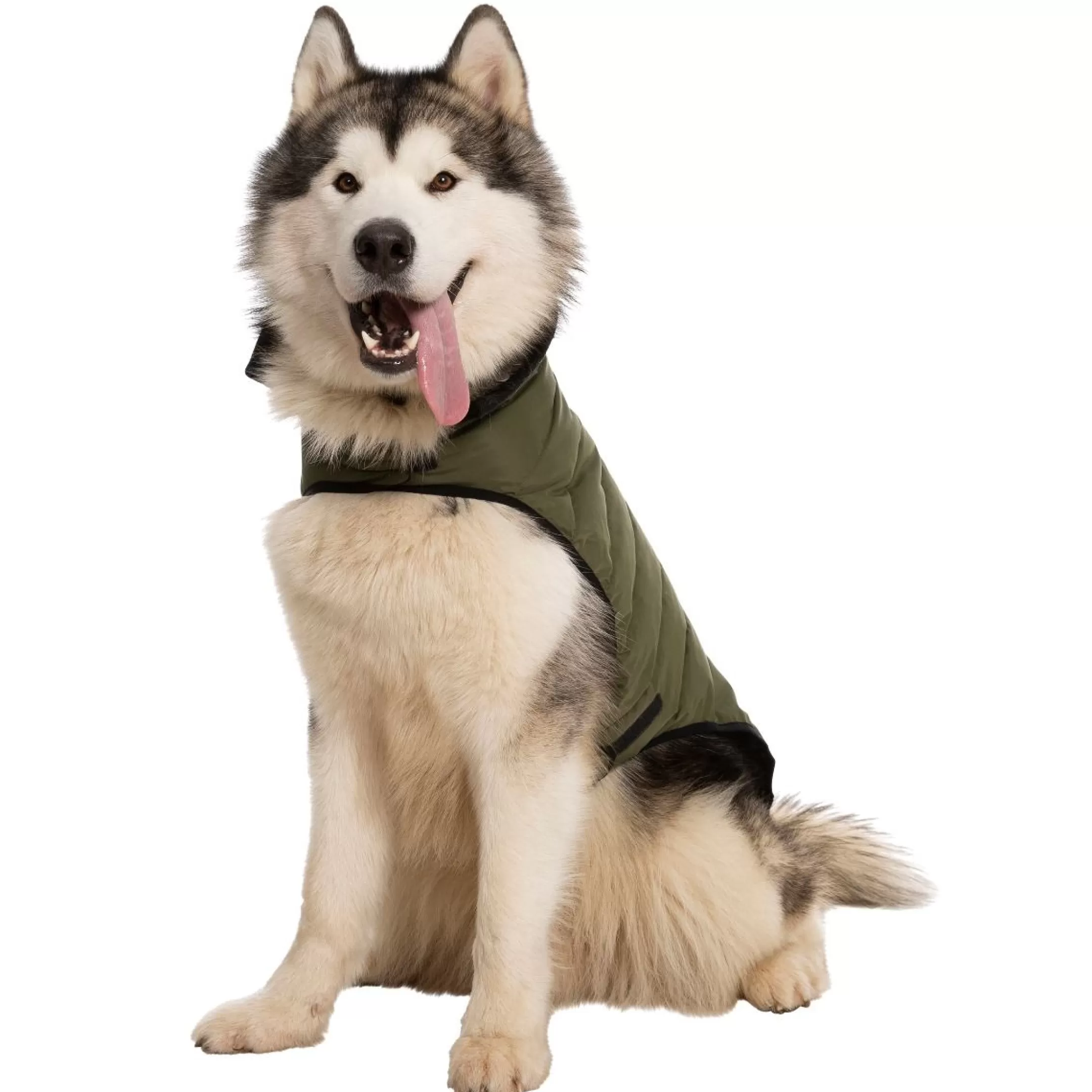 Trespaws XL Eco Friendly Dog Puffer Jacket in Khaki Lloyd | Trespass Best