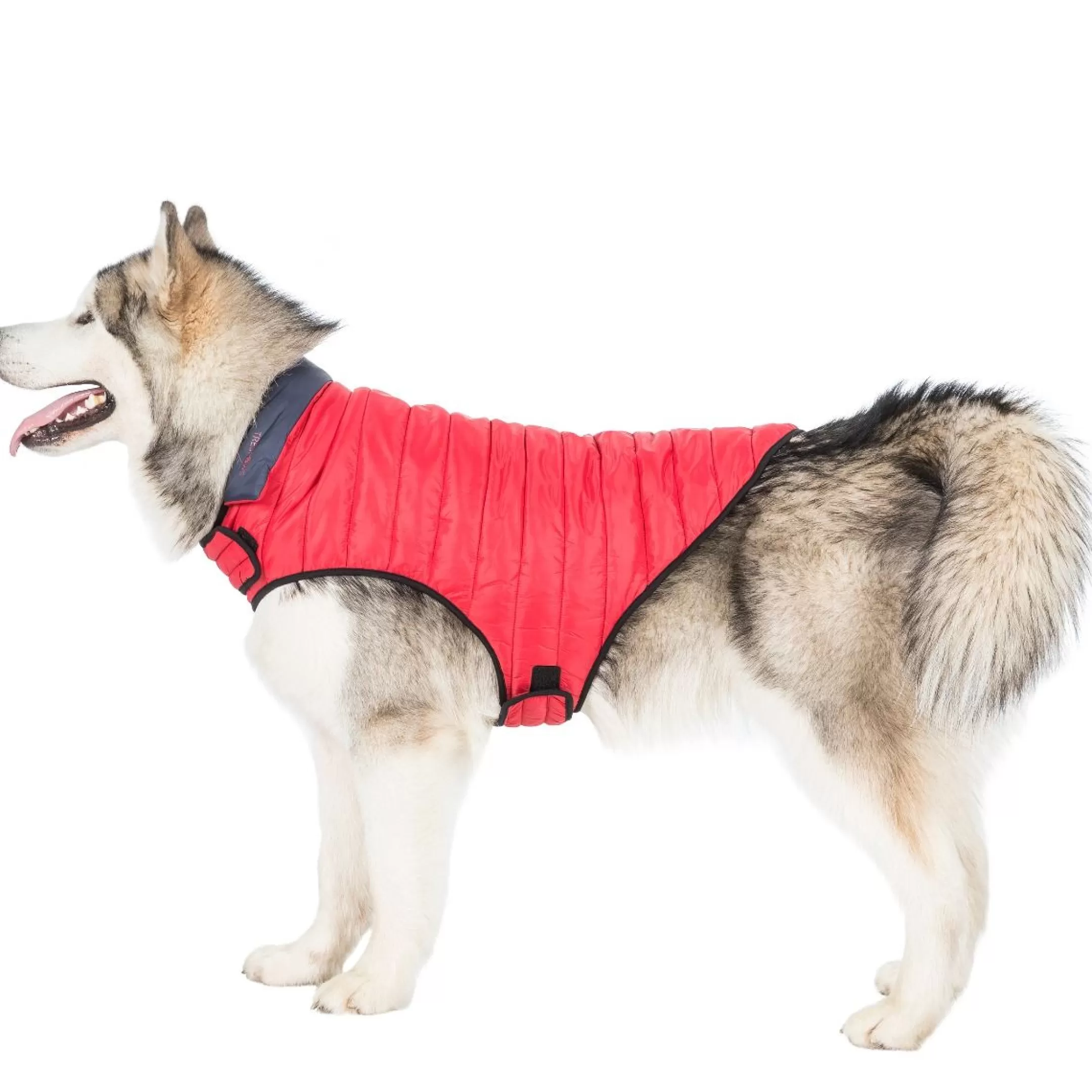 Trespaws XL Quilted Reversible Packaway Dog Jacket in Flint Kimmi | Trespass Sale