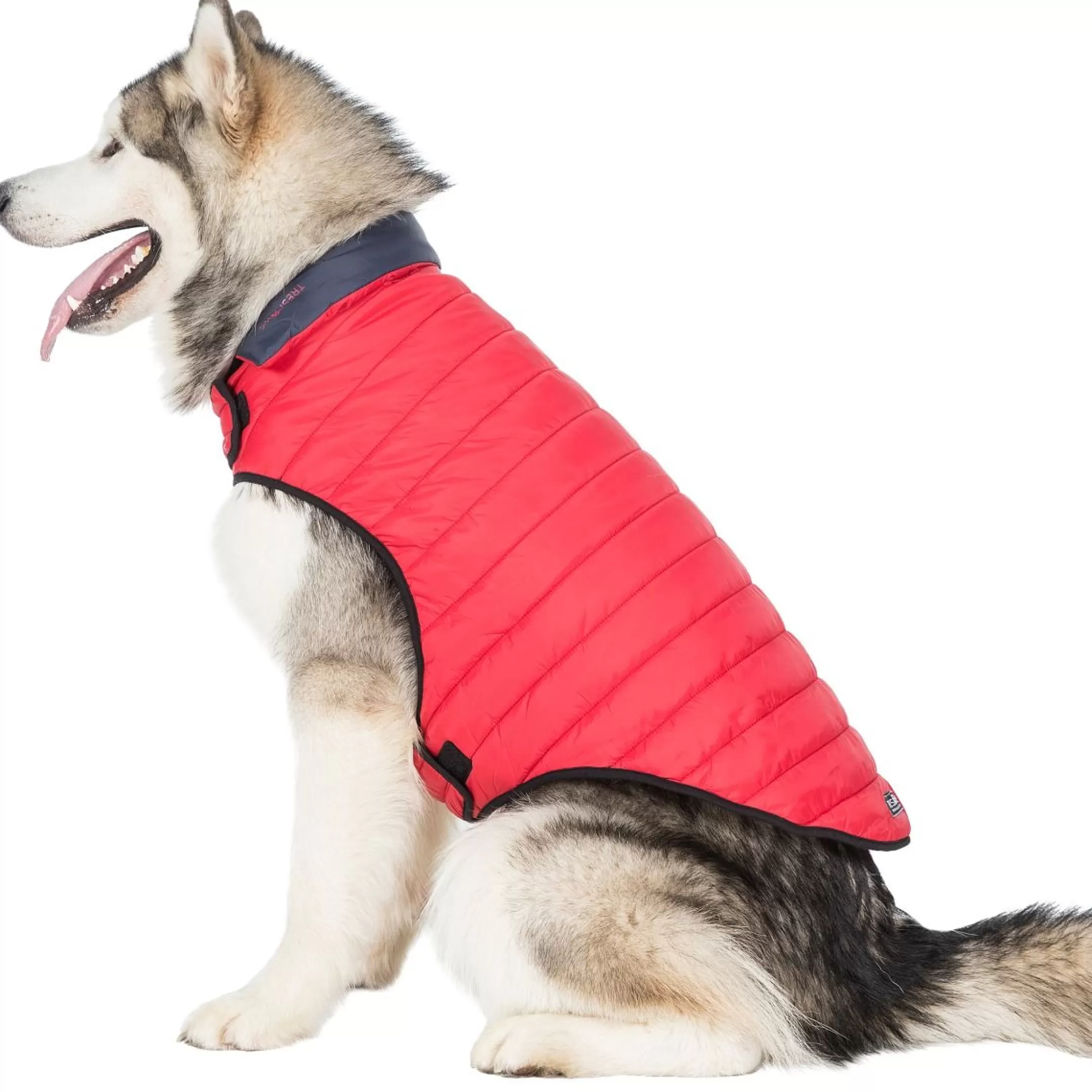 Trespaws XL Quilted Reversible Packaway Dog Jacket in Flint Kimmi | Trespass Sale