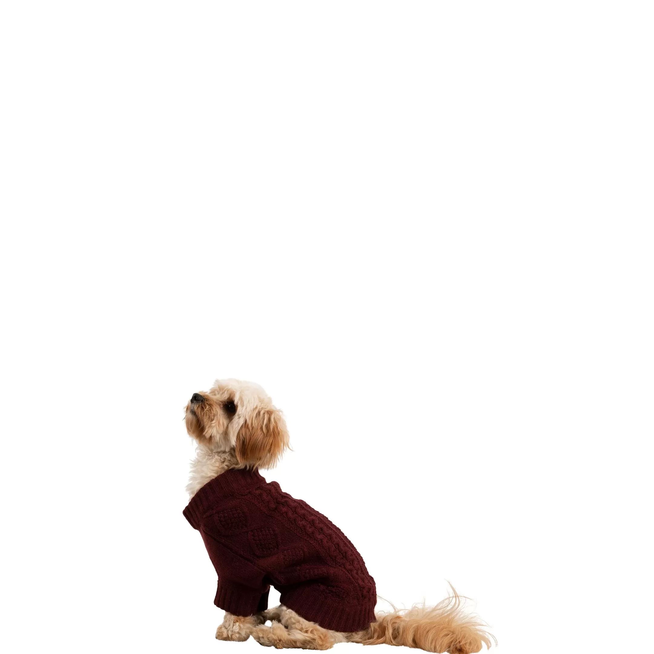 Trespaws XS Dog Jumper Snowhound Merlot | Trespass Hot