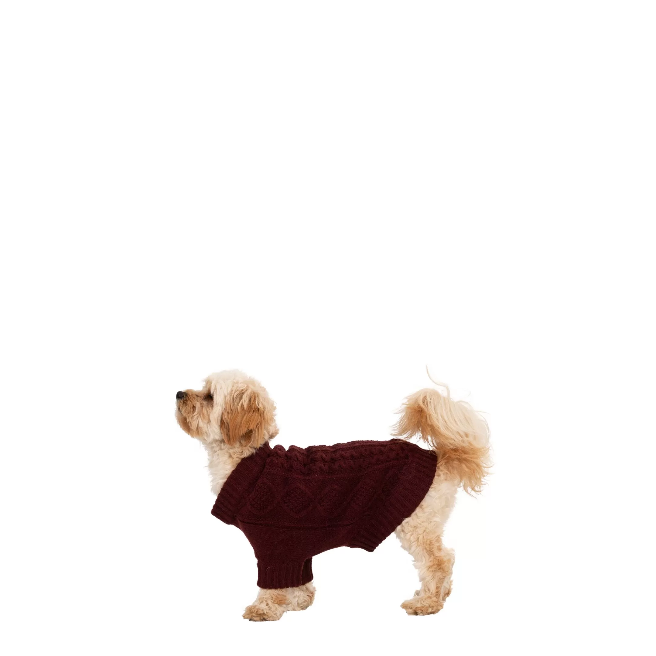 Trespaws XS Dog Jumper Snowhound Merlot | Trespass Hot