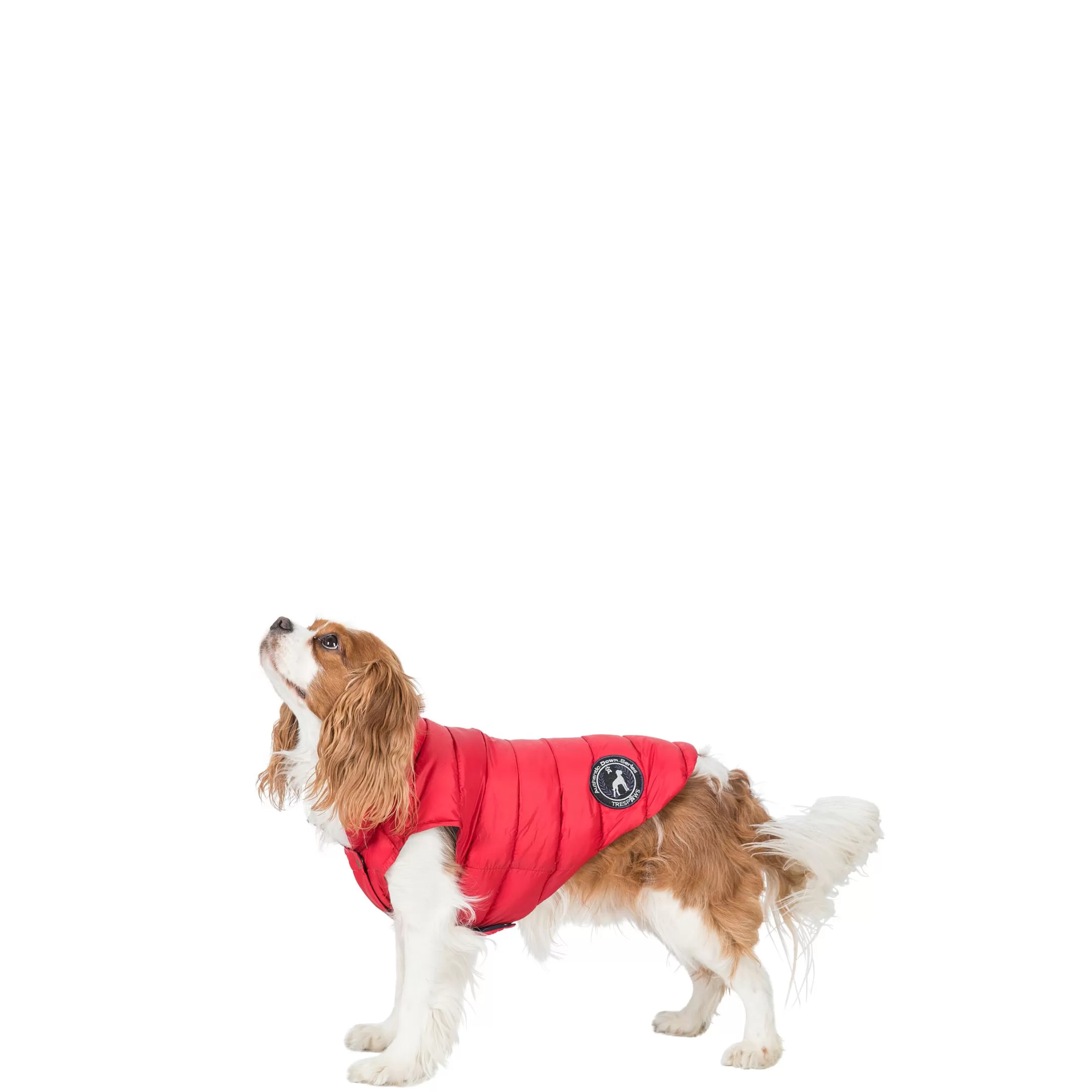 Trespaws XS Down Dog Jacket in Red Dogby | Trespass Flash Sale
