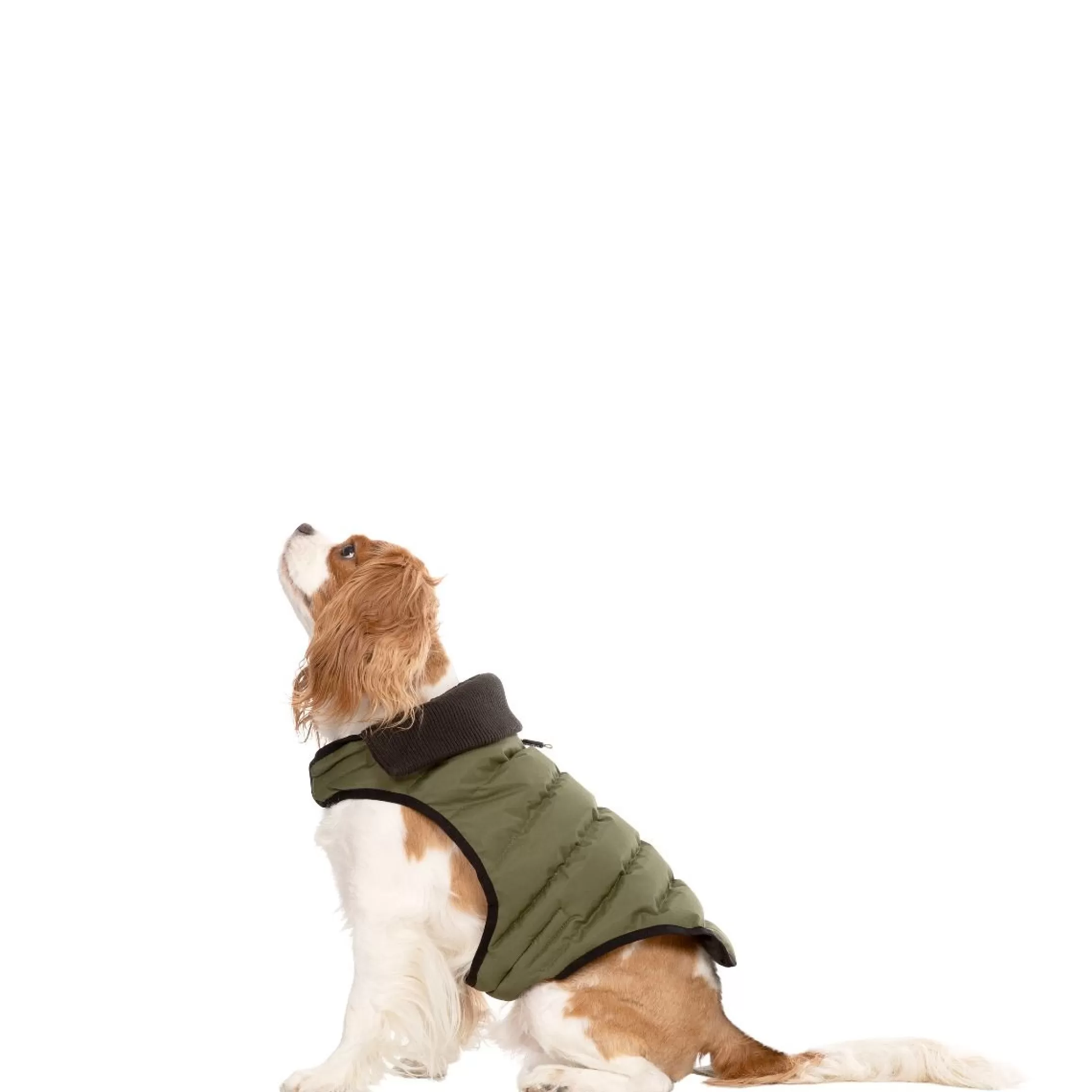 Trespaws XS Eco Friendly Dog Puffer Jacket in Khaki Lloyd | Trespass Cheap