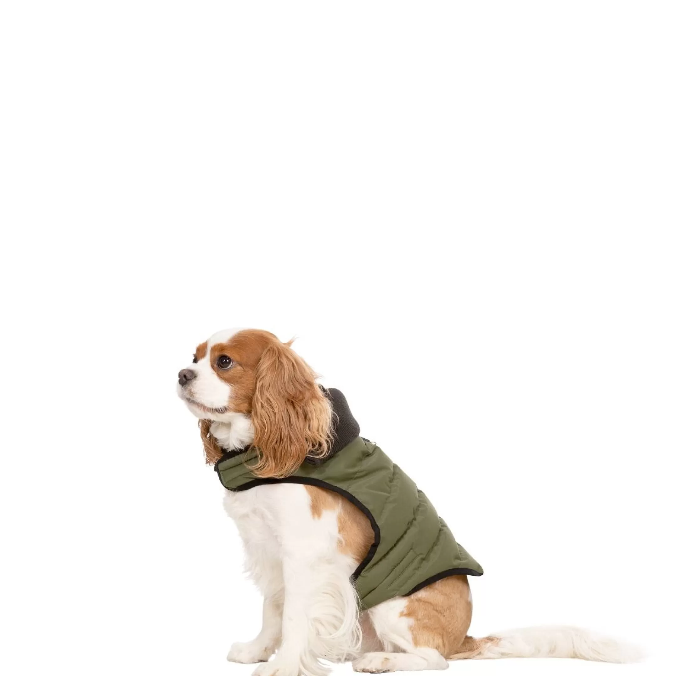 Trespaws XS Eco Friendly Dog Puffer Jacket in Khaki Lloyd | Trespass Cheap