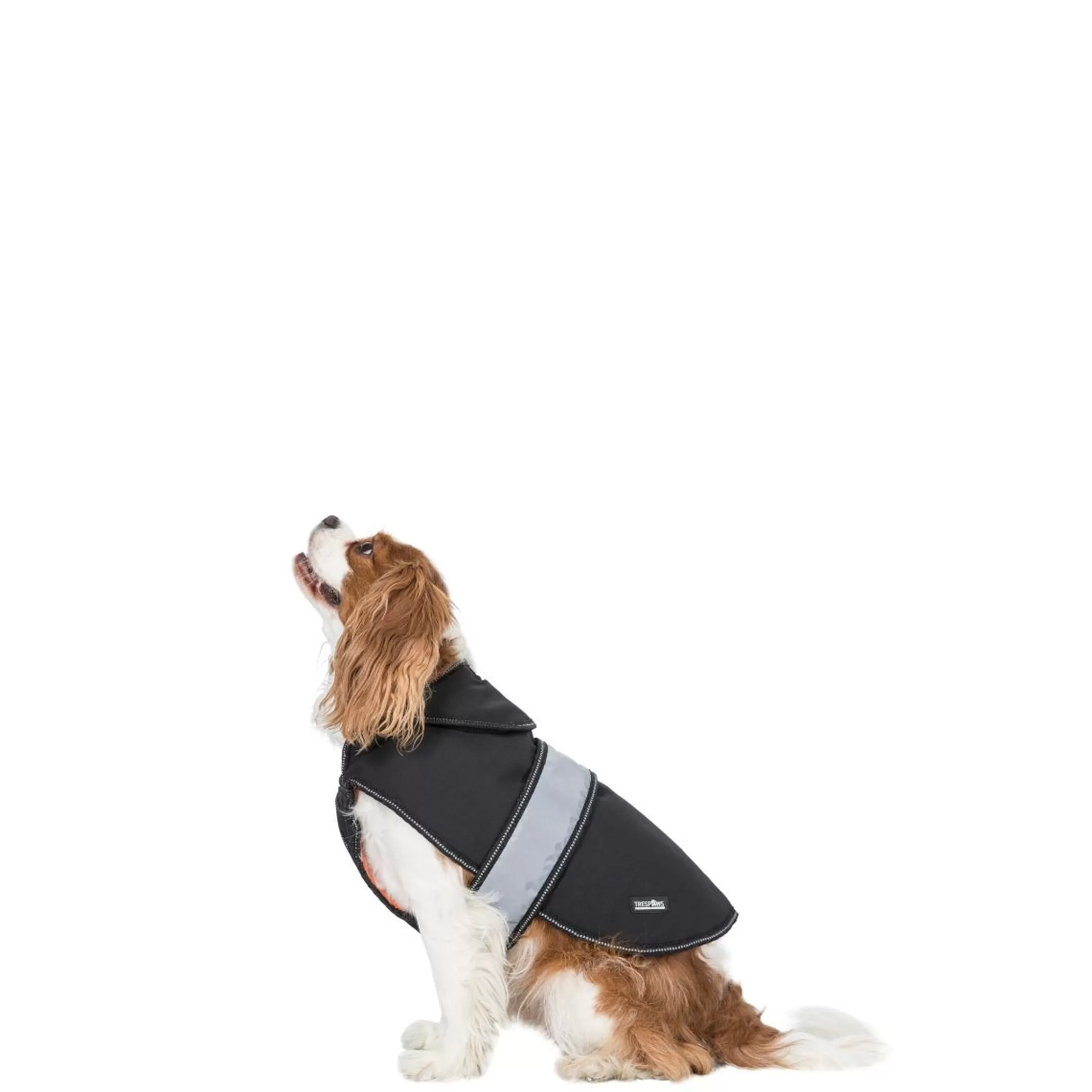 Trespaws XS Softshell dog coat Butch X Black X | Trespass New