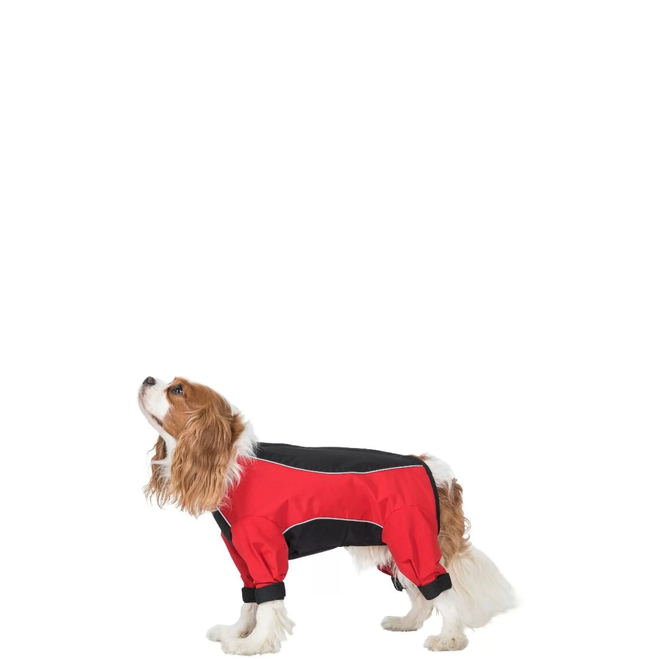 Trespaws XS Waterproof Dog Coat with legs Tia in Black/Red | Trespass Shop