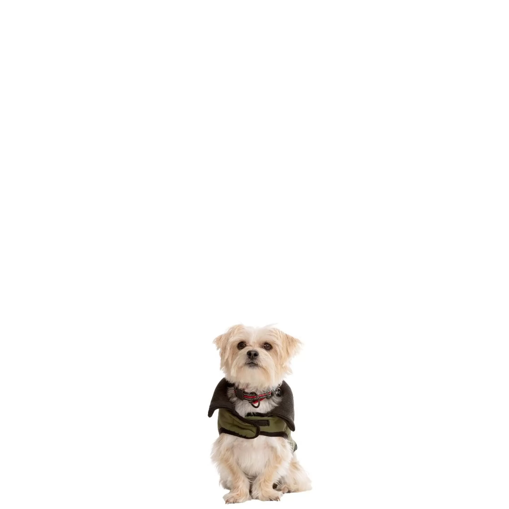 Trespaws XXS Eco Friendly Dog Puffer Jacket in Khaki Lloyd | Trespass Flash Sale