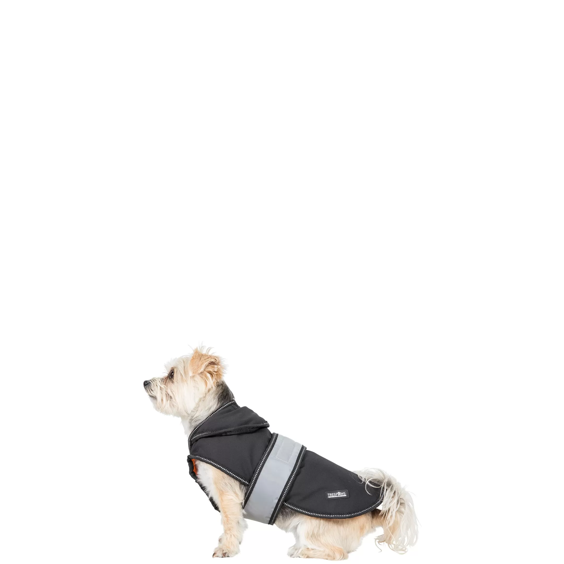Trespaws XXS Softshell Dog Coat in Black X Butch X | Trespass Fashion